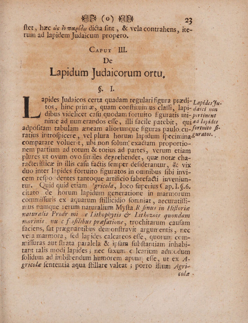 B(o)8B8 — 5 ftt, hac ds /»sagcdo dicla fint , &amp; vela contrahens, ite- ; rum ad lapidem Judaicum propero. LN Mo NR SNL. | [5 Lapide 1a daici nom |