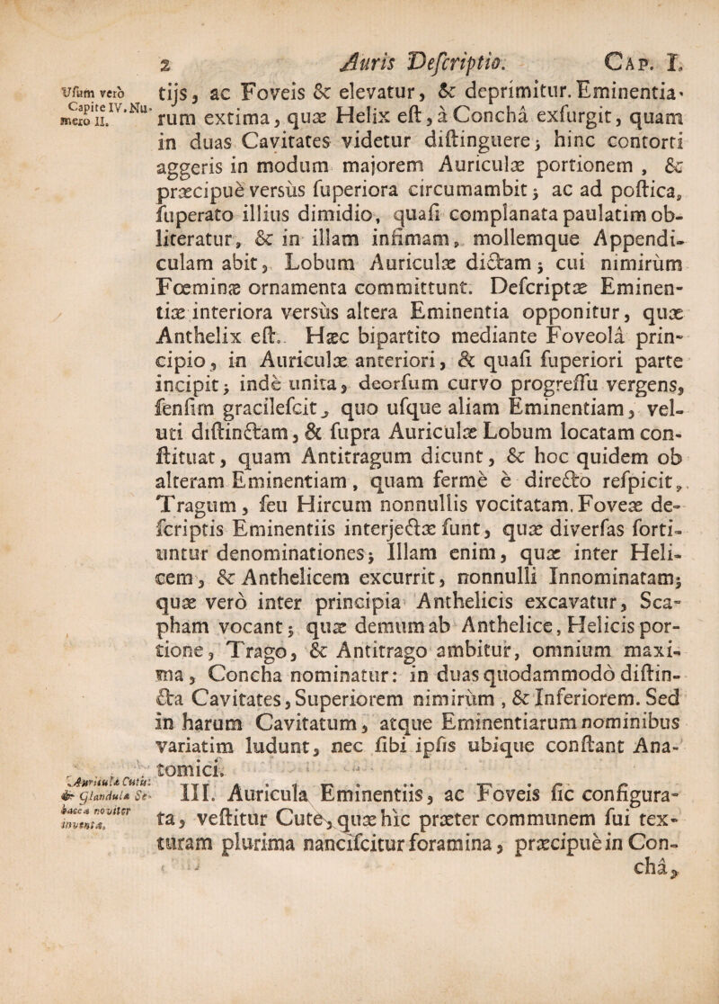 Ufum vero Capite IV. Nu¬ mero ii. I ^A-wiiuht Cutitl Qlandula Se* iaeea novitcr invtntx» 2 Auris Defcriptio. Gap. L tijs, ac Foveis Sc elevatur, & deprimitur,Eminentia» rum extima, quae Helix eft, a Concha exfurgit, quam in duas Cavitates videtur diftinguere* hinc contorti aggeris in modum majorem Auriculae portionem , & praecipue versus fuperiora drcumambit* ac ad poftica» fii perato illius dimidio, quafi complanatapaulatimob- literatur, & in illam infimam, mollemque Appendi, culam abit,. Lobum Auriculae diftam * cui nimirum Feeminje ornamenta committunt. Defcriptae Eminen¬ tias interiora versus altera Eminentia opponitur, quae Anthelix eft.. Haec bipartito mediante Foveola prin¬ cipio, in Auriculae anteriori, 8c quafi fuperiori parte incipit> inde unita, dcorium curvo progrefTu vergens, fenfim gracilefcit^ quo ufque aliam Eminentiam, vel- uti diftinftam, & fupra Auriculae Lobum locatam con- ftituat, quam Antitragum dicunt, & hoc quidem ob alteram Eminentiam, quam ferme e direfto refpieit* Tragum, feu Hircum nonnullis vocitatam.Foveae de- fcriptis Eminentiis interjeftae funt, quae diverfas forti, untur denominationes* Illam enim, quae inter Heli¬ cem, & Anthelicem excurrit, nonnulli Innominatam* quae vero inter principia Anthelicis excavatur, Sca¬ pham vocant* quae demum ab Anthelice, Helicis por¬ tione, Trago, & Antitrago ambitur, omnium maxi- fna. Concha nominatur: in duas quodammodo diftin-- £ta Cavitates, Superiorem nimirum , & Inferiorem. Sed in harum Cavitatum, atque Eminentiarum nominibus variatim ludunt, nec fibi ipfis ubique conflant Ana» tomici, ; - III. Auricula Eminentiis, ac Foveis fic configura¬ ta, veftitur Cutd^quae hic praeter communem fui tex¬ turam plurima nandfcitur foramina, praecipue in Con- ! -J cha*.