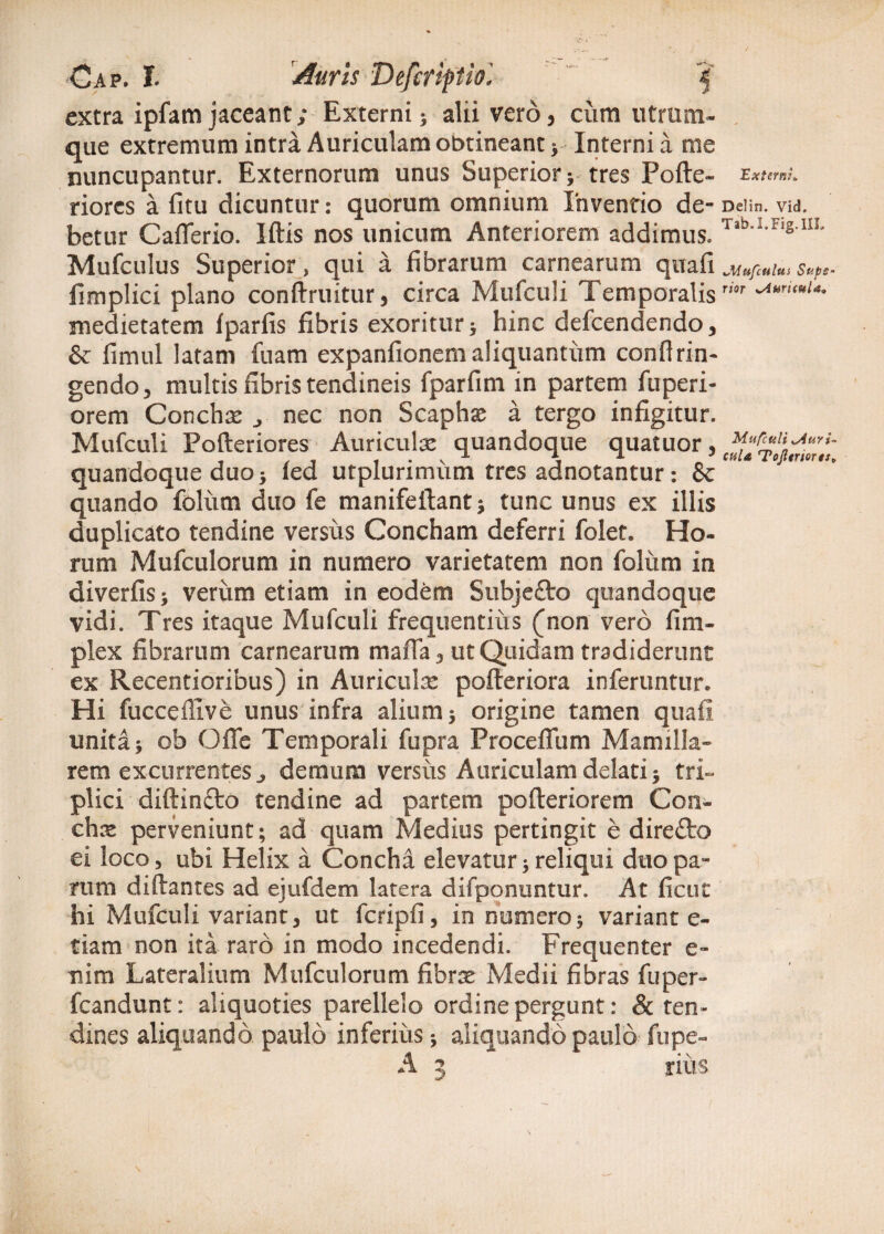 extra ipfam jaceant; Externi; alii vero, cum utrum- que extremum intra Auriculam obtineant > Interni a me nuncupantur. Externorum unus Superior; tres Pofte- riorcs a fitu dicuntur: quorum omnium Inventio de¬ betur Caflerio. Iftis nos unicum Anteriorem addimus. Mufculus Superior, qui a fibrarum carnearum quafi fimplici plano conftruitur, circa Mufculi Temporalis medietatem fparfis fibris exoritur; hinc defcendendo , & fimul latam fuam expanfionemaliquantum conftrin- gendo, multis fibris tendineis fparfim in partem fuperi- orem Conchas nec non Scaphse a tergo infigitur. Mufculi Pofteriores Auriculae quandoque quatuor, quandoque duo; ied utplurimiim tres adnotantur: 8c quando foliim duo fe manifeflant; tunc unus ex illis duplicato tendine versus Concham deferri folet. Ho¬ rum Mufculorum in numero varietatem non foliim in diverfis; verum etiam in eodem Subjefto quandoque vidi. Tres itaque Mufculi frequentius (non vero fim- plex fibrarum carnearum maffa, ut Quidam tradiderunt ex Recentioribus) in Auriculae pofferiora inferuntur. Hi fuccefiive unus infra alium; origine tamen quafi unita; ob Offe Temporali fupra Procefiiim Mamilla¬ rem excurrentes ^ demum versus Auriculam delati; tri¬ plici diftinfto tendine ad partem pofteriorem Con¬ chae perveniunt; ad quam Medius pertingit e direfto ei loco, ubi Helix a Concha elevatur; reliqui duo pa¬ rum diftantes ad ejufdem latera difpqnuntur. At ficut hi Mufculi variant, ut fcripfi, in numero; variant e- tiam non ita raro in modo incedendi. Frequenter e- nim Lateralium Mufculorum fibrae Medii fibras fuper- fcandunt: aliquoties parellelo ordine pergunt: & ten¬ dines aliquando paulo inferius; aliquando paulo fupe- A 3 rius Externi* Delin. Vid. Tab.l.Fig.IIL tMufculus Sups- rior wAuricula, Mufculi *Auri~ cula Tojltriorts,