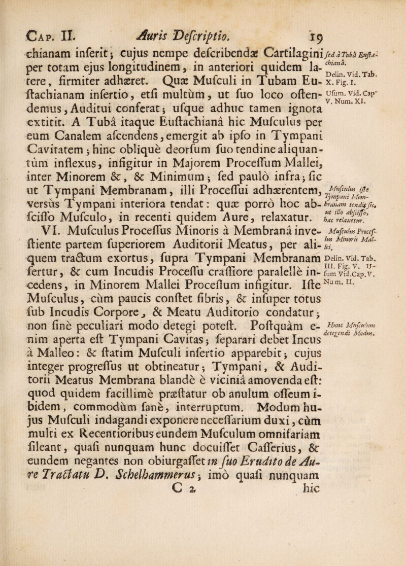 chianam inferit; cujus nempe defcribenda; Cartilagini/^?»e«p- per totam ejus longitudinem, in anteriori quidem la-chMnh' tere, firmiter adimet. Quse Mufculi in Tubam Eu- 'Ta ’ ftachianam infertio, etfi multum, ut fuo loco often- un™-viA-,Cli?* - r . V. Num, XI. demus, Auditui conterat ; ufque adhuc tamen ignota extitit. A Tuba itaque Euftachiana hic Mufculus per eum Canalem afeendens, emergit ab ipfo in Tympani Cavitatem; hinc oblique deorfum fuo tendine aliquan- tum inflexus, infigitur in Majorem Proceflum Mallei, inter Minorem &, & Minimum; fed paulo infra; fic ut Tympani Membranam, illi Proceflui adhxrentem, versus k ympani interiora tendat: qux porro hoc ab- w™ tenditfic» fciflo Mufculo, in recenti quidem Aure, relaxatur. ZtlhaS.9 VL Mufculus Proceflus Minoris a Membrana inve- Mufculus Procef- ftiente partem fuperiorem Auditorii Meatus, per ali-MmrtsMal~ quem trafitum exortus, fupra Tympani MembranamDeiin.vid.Tab. fertur, & cum Incudis Proceflu crafiiore paralelle in- Tum Vid.Cap.y» cedens, in Minorem Mallei Proceflum infigitur. IfteNam,u* Mufculus, cum paucis conflet fibris, & infuper totus fub Incudis Corporej & Meatu Auditorio condatur; non fine peculiari modo detegi poteft. Poftq Uam e- TLrmt Mnfctilnm . 1 n . gr-s • L r -iit detegendi Modus. nim aperta eit Tympani Cavitas; separari debet Incus a Malleo: & flatim Mufculi infertio apparebit; cujus integer progreflus ut obtineatur; Tympani, & Audi- torii Meatus Membrana blande e vicinia amovenda eft: quod quidem facillime proflatur ob anulum ofleum i- bidem , commodum fane, interruptum. Modum hu¬ jus Mufculi indagandi exponere neceflarium duxi, cum multi ex Recentioribus eundem Mufculum omnifariam fileant, quafi nunquam hunc docuiflet Caflerius, & eundem negantes non obiurgaflet in fuo Erudito de Au¬ re Trattatu D» Schelhammerus 5 imo quafi nunquam 2* hic