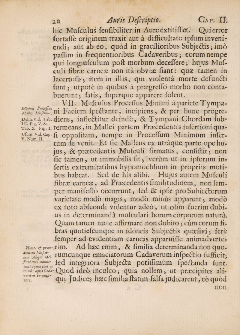 hic Mufculus fenfibiliter in Aureextitiflet. Qui error fortaffe originem traxit aut a difficultate ipfum inveni¬ endi; aut ab eo, quod in gracilioribus Subje&is; imo paffim in frequentioribtis Cadaveribus > eorum nempe qui longiufculum poft morbum deceffere; hujus Muf- culi fibrae carneae non ita obviae fiant: quae tamen in lacertofis; item in illis, qui violenta morte defunfti funt 5 utpote in quibus a praegreffo morbo non conta¬ buerunt j fatis, fuperque apparere folent. VII. Mufculus Proceflus Minimi a pariete Tympa^ SSC/^ni Faciem fpeftante, incipiens, & per hunc progre- Delin.Vid. Tab. diens, infleftifur deinde, & Tympani Chordam fub- Tabfx* Fig. i. termeans ,in Mallei partem Praecedentis infertioniqua- ufumvid.cap.fi oppofitam, nempe in Procefium Minimum infer¬ tum fe venit. Et fic Malleus ex utraque parte ope hu¬ jus, & praecedentis Mufculi firmatus, confiftit; non fic tamen, ut immobilis fit; verum ut in i piorum in¬ fertis extremitatibus hypomochlium in propriis moti¬ bus habeat. Sed de his alibi. Hujus autem Mufculi fibrae carneae, ad Praecedentisfimilitudinem, nonfem- per nianifeltd occurrunt; fed & ip(x proSubiectorum varietate modo magis; modo miniis apparent; modo ex toto abfcondi videntur adeo, ut olim fuerim dubi¬ us in determinandi mufctilari horam corporum natura. Quam tamen nunc affirmare non dubito; cum eorum fi¬ bras quotiefcunque m idoneis Subjedtis quaefivi; fere lemper ad evidentiam carneas apparuifie animadverte- &prdce- nm. Ad haec enim, & fi milia determinanda non quo- rumcunque emaciatorum Cadaverum infpeftio fufficif; forte/ion admit- fe(j integriora Subiefta potiffimiim fpedanda lunt. tmtWiiaillos in , .f , . . J - it ' • • i- mmnsapiscada-Quod ideo inculco; quia nollem, ut praecipites ali- 'veribusu,^ jucj-ccs haecfimiliaftatim falfajudicarent,eb quod non Mime- dentem Mufcn- htm jlhqt:i ideo