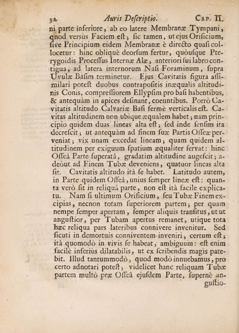 ni parte inferiore, abeo latere Membrana Tympani, qnod versus Faciem eft) fic tamen, ut ejus Orificium, live Principium eidem Membranx e direfto quafi col¬ locetur: hinc obliqui deorfum fertur, quoufque Pte- rygoidis Proceffus Internx Alx, anteriori fui labro con¬ tigua, ad latera internorum Nafi Foraminum, fupra •Uvulae Bafim terminetur. Ejus Cavitatis figura alli¬ ni i! ari poteft duobus contrapofitis inxqualis altitudi¬ nis Conis, compreffiorem Ellypfim pro bafi habentibus, &; antequam in apices definant, coeuntibus. Porro Ca¬ vitatis altitudo Calvarix Bafi ferme verticalis eft. Ca¬ vitas altitudinem non ubique xqualem habet ) nam prin¬ cipio quidem duas lineas alta eft * fed inde fenfim ira decrefcit) ut antequam ad finem fux Partis Ofiex per¬ veniat) vix unam excedat lineam) quam quidem al¬ titudinem per exiguum fpatium aequaliter fervat: hinc Oilea Parte fuperata, gradatim altitudine augefcit; a- deout ad Finem Tubx deveniens, quatuor lineas alta fit» Cavitatis altitudo ita fe habet. Latitudo autem, in Parte quidem Oilea,unius femper linex eft: quan¬ ta vero fit in reliqua parte, non eft ita facile explica¬ tu. Nam fi ultimum Orificium, feu Tubx Finem ex¬ cipias, necnon totam fuperiorem partem) per quam nempe femper apertam, femper aliquis tranfitus,utut anguftior , per Tubam apertus remanet, utique tota hs2C reliqua pars lateribus connivere invenitur. Sed ficuti in demortuis conniventem inveniri, certum eft; ita quomodo in vivis fe habeat, ambiguum: eft enim facile inferius dilatabilis , ut ex fcribendis magis pate¬ bit. Illud tantummodo, quod modo innuebamus, pro certo adnotari poteft> videlicet hanc reliquam Tubx partem multo prx Oilea ejufdem Parte, fuperne an- guftio-