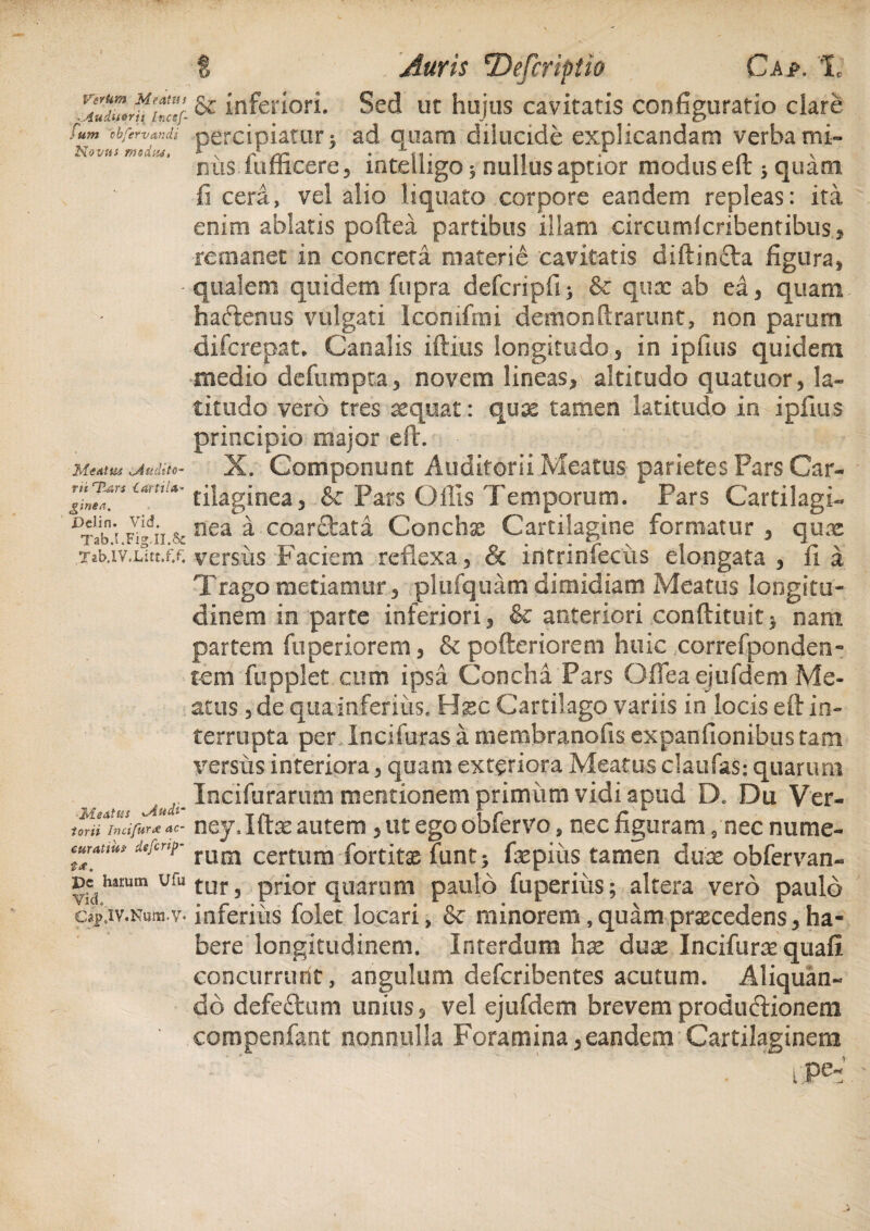 Vertan Meatus ■ Auditorii [ncef- fum 'obfervandi Novas mtd.su, Meatus ^Audito¬ rii T'.ars {. artila- vinea. Delin. Vid. Tab.I.Fig.II.Sc Tab.lV.Litt.f/, Heatus xAudi- rii In cifur a: ae¬ ratius- deferip- e harum Ufu idL aj>4IV.Num.V* I Auris *Defcriptio Cap. '1; & inferiori. Sed ut hujus cavitatis configuratio dare percipiatur * ad quam dilucide explicandam verba mi¬ niis fufficere, intelligo 3 nullus aptior modus eft 3 quam fi cera, vel alio liquato corpore eandem repleas: ita enim ablatis poftea partibus illam circumlcribentibus, remanet in concreta materie cavitatis diftincta figura, qualem quidem fupra defcripfij & qux ab ed, quam haftenus vulgati Ieonifmi .demonftrarunt, non parum diferepat, Canalis iftius longitudo , in ipfius quidem medio defumpta, novem lineas, altitudo quatuor, la¬ titudo vero tres aequat: qux tamen latitudo in ipfius principio major eft. X. Componunt Auditorii Meatus parietes Pars Car¬ tilaginea, & Pars Offis Temporum. Pars Cartilagi¬ nea a coarcfcata Conchx Cartilagine formatur , qux versus Faciem reflexa, & intrinfeciis elongata , fi a Trago metiamur, plui quam dimidiam Meatus longitu¬ dinem in parte inferiori, & anteriori conftituit 3 nam partem fuperiorem, & pofteriorem huic correfponden- tem fupplet cum ipsa Concha Pars Ofleaejufdem Me¬ atus , de qua-inferius. Hjec Cartilago variis in locis eft in¬ terrupta per Incifuras a membranofis expanfionibus tam versus interiora, qoam extariora Meatus claufas: quarum Incifurarum mentionem primum vidi apud D. Du Ver- ney.Iftx autem, ut ego obfervo, nec figuram s nec nume¬ rum certum fortitae funt 3 fxpius tamen dux obfervan- tur, prior quarum paulo fuperius; altera vero paulo inferiiis folet locari, & minorem, quam .praecedens, ha¬ bere longitudinem. Interdum hx dux Incifurx quafi concurrunt, angulum deferibentes acutum. Aliquan¬ do defe&um unius, vel ejufdem brevem produdtionem eompenfant nonnulla Foramina,eandem Cartilaginem ! ’ ^ . ipe-’