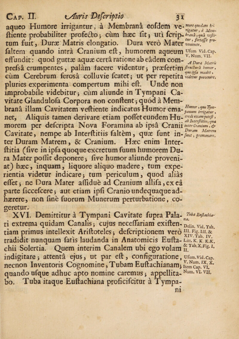 aquco Humore irrigantur, a Membrani eofdem n- I . -i- 0 r n v , ~ ' r ■ V* »*• ltiente probabilirer profecto 5 cum hasc iit 3 uti icrip- trana, qua vtfii- tum fuit , Durae Matris elongatio. Dura vero Mater venies fs pr°~ faltem quando intra Cranium eft, humorem aqueum ufum vid.cap. rrj- 1 a 1 AJ A V.Num.VII. effundit : quod guttae aquae certa ratione ab eadem com- ADwa Matrk prefsa erumpentes, palam tacere videntur •, praefertim ftruftnrh humor, * v r 1 a . * • r A • elm *Pfa madet > cum Cerebrum ierosa colluvie lcatet; ut per repetita videtur provenire* pluries experimenta compertum mihi eft. Unde non improbabile videbitur 5 cum aliunde in Tympani Ca¬ vitate Glandulofa Corpora non conflent * quod a Mem¬ brana illam Cavitatem veftiente indicatus Humor ema net. Aliquis tamen derivare etiam poffet eundem Ha- A 1 r • xt •• ab Interftitns-> qn& morem per delcnpta JNova boramina ab ipsa Cranii inter Cranium, & Cavitate, nempe ab Interftitiis faltem, quae funt in-^w! ter Duram Matrem, & Cranium. Haec enim Inter- ftitia (fi ve in ipfa quoque excretum fuum humorem Du¬ ra Mater poffit deponere > five humor aliunde proveni¬ at) haec, inquam, liquore aliquo madere, tum expe¬ rientia videtur indicare $ tum periculum, quod alias effetj ne Dura Mater affidue ad Cranium allifa,exea parte ficcefcere; aut etiam ipfi Cranio undequaque ad¬ haerere, non fine fuorum Munerum perturbatione, co¬ geretur. XVI. Demittitur a Tympani Cavitate fapra Pala- ti extrema quidam Canalis j cujus neceffariam exiften-Ddin vid Tab tiam primus intellexit Ariftoteles; deferiptionem ver6I“I-vF^ffJt-&* tradidit nunquam fatis laudanda in Anatomicis Eufta- Lkc.k.K K.K. chii Solertia. Quem interim Canalem ubi ego volam n T3b,x,Fig,I‘ indigitare* attenti ejus, ut par eft, configuratione, uw vid.cap. necnon Inventoris Cognomine,TubamEuftachianarnii^mcTp/vi.^ quando ufque adhuc apto nomine caremus i appellita-Num*VLVlr> bo. Tuba itaque Euftachiana proficifcitur a Tympa¬ ni