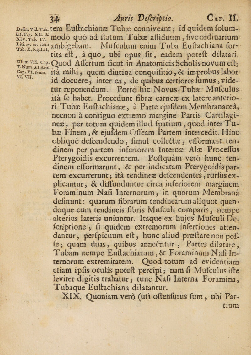 Deim.vid.Tab.tera Euftachianx Tubae conniveant; id quidem folum- xiv!TaKriv&modo quo ad flatum Tubae aillduum, fiveordinarium Tab.xFlgiiTambigebam. Mufculum enim Tuba Euftachiana for* tita ell, a qiiOj ubi opus fit, eadem poteft dilatari» v.NmTxifem Qu°d Affertum ficut in Anatomicis Scholis novum eft; caP^vItNum. ita mihi 3 quem diutina conquifitio, & improbus labor id docuere 5 interea, de quibus certiores fumus 3 vide¬ tur reponendum. Porro hic Novus Tubae Mufculus ita fe habet. Procedunt fibrae carneae ex latere anterio¬ ri Tubae Euftachianae, a Parte ejufdem Membranacea, necnon a contiguo extremo margine Partis Cartilagi¬ neas, per totum quidem illud fpatium, quod inter Tu¬ bae Finem , & ejufdem Ofleam Partem intercedit. Hinc oblique defcendendo, fimul colleftae, efformant ten¬ dinem per partem inferiorem Internae Alae Froceffus Pterygoidis excurrentem. Poftquam vero hunc ten¬ dinem efFormarunt, & per indicatam Pterygoidis par¬ tem excurrerunt; ita tendineae defcendentes,rurfusex¬ plicantur, & diffunduntur circa inferiorem marginem Foraminum Nafi Internorum, in quorum Membrana definunt: quarum fibrarum tendinearum aliquot quam doqtie cum tendineis fibris Mufculi comparis, nempe alterius lateris uniuntur. Itaque ex hujus Mufculi De- fcriptione ; fi quidem extremorum infertiones atten¬ dantur; perfpicuum eft, hunc aliud proflare non pof- fe; quam duas, quibus anneftitur , Partes dilatare. Tubam nempe Euftachianam, & Foraminum Nafi In¬ ternorum extremitatem. Quod totum ad evidentiam etiam ipfis oculis poteft percipi; nam fi Mufculusifte leviter digitis trahatur; tunc Nafi Interna Foramina, Tubaque Euftachiana dilatantur. XIX, Quoniam vero (uti oftenfurus fura, ubi Par¬ tium