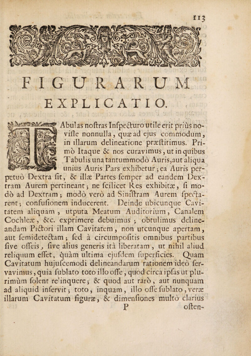 EXPLICATIO. , Abulas noftras Infpe&uro utile erit prius no vifie nonnulla, qusead ejus commodum, in illarum delineatione praefiitimus. Pri¬ mo Itaque & nos curavimus, ut in quibus Tabulis una tantummodo Auris,aut aliqua unius Auris Pars exhibetur* ea Auris per¬ petuo Dextra fit, & illas Partes femper ad eandem Dex¬ tram Aurem pertineant5 ne fcilicet Res exhibitas, fi mo¬ do ad Dextram 5 modo vero ad Sinfftram Aurem fpecta- rent* confufionem inducerent. Deinde ubicunque Cavi¬ tatem aliquam, utputa Meatum Auditorium, Canalem Cochleas, &c. exprimere debuimus * obtulimus deline¬ andam Pi&ori illam Cavitatem, non utcunque apertam, aut femideteftam* fed a circumpofitis omnibus partibus five ofleiSj five alius generis ita liberatam , ut nihil aliud reliquum efiet, quam ultima ejufdem fuperficies. Quam Cavitatum hujufcemodi delineandarum rationem ideo fer- vavimus,quia fublato toto illo ofle, quod circa ipfas ut plu¬ rimum folent relinquere* Se quod aut raro, aut nunquam ad aliquid infervit* toto, inquam, illo olle fublato , verre illarum Cavitatum figuras, & dimenfiones multo clarius P often-