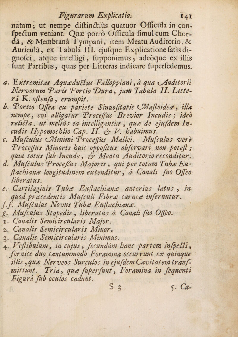 M ^ natam $ ut nempe diftin&ius quatuor Officula in con- fpeftum veniant. Quas porro Officula fimulcum Chor¬ da, & Membrana Tympani, item Meatu Auditorio, Auricula, ex Tabula III. ejufque Explicatione fatis di- gnofci, atque intelligi, fuppommus* adeoque exiliis 'funt Partibus, quas per Litteras indicare fuperfedemus. a. Extremitas AquaduBus Falloppiani, a qua cAuditorii Nervorum Faris Foi'tio Dura, jam Tabula II. Litte¬ ra, K. oftenfa, erumpit. h. Fortio Offea ex pariete Sinuofitatis tJMafloidea, illa nempe, cui alligatur Frocetfm Brevior Incudis; ideo relifla, ut melius ea intelligantur, qua de ejufdem In- ■ cudis Hypomochlio Cap. II. & V. habuimus. c. Mufculus CMinimi Frocejfus Mallei. Mufculus vere Frocejfus Minoris huic oppoftus obfervari non potefi; quia totus fub Incude, & Meatu Auditorio reconditur. d. Mufculus Frocef us Majoris, qui per totam Tuba Eu¬ flachiana longitudinem extenditur, d Canali fuo Offeo liberatus. e. Cartilaginis Tuba Euflachiana anterius latus , in quod pracedentis Mujculi Fibra carnea inferuntur. f. f Mufculus Novus Tuba Euflachiana. . Mufculus Stapedis, liberatus d Canali fuo Offeo. . Canalis Semicircularis Major. Canalis Semicircularis Minor. 3. Canalis Semicircularis Minimus. 4. Veflibulum, in cujus, fecundum hanc partem infpeBi, fornice duo tantummodo Foramina occurrunt ex quinque illis, qua Nerveos Surculos in ejufdem Cavitatem trans¬ mittunt. Tria, qua fuperfunt, Foramina in fequenti Figura fub oculos cadunt. S 3 5. Ca-