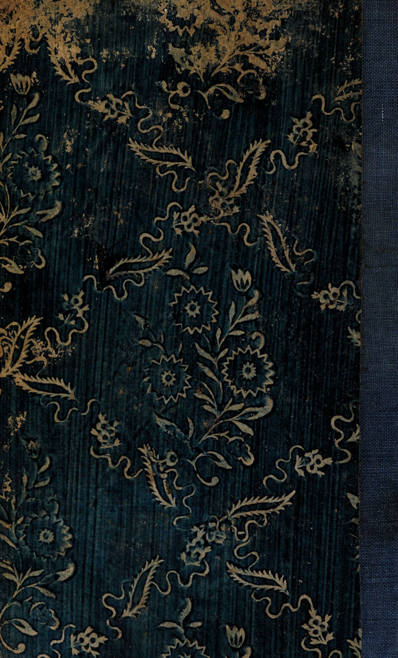 V'VvTT'ï. i f % #’i' ’.4 • Ay1'' -■ ■; * ■<#$ 'KÜUÉ: ' sm rSsJsfir £ $ 'föH? • _•. gij gvssssg