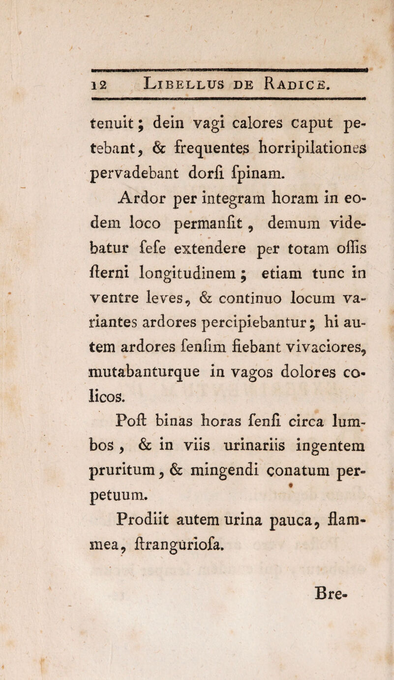 tenuit; dein vagi calores caput pe¬ tebant, & frequentes horripilationes pervadebant dorli fpinam. Ardor per integram horam in eo¬ dem loco permanfit, demum vide¬ batur fefe extendere per totam offis flerni longitudinem; etiam tunc in ventre leves, & continuo locum va¬ riantes ardores percipiebantur ; hi au¬ tem ardores fenfim fiebant vivaciores, mutabanturque in vagos dolores co¬ licos. Poft binas horas fenli circa lum¬ bos , & in viis urinariis ingentem pruritum, & mingendi conatum per- petuum. Prodiit autem urina pauca, flam¬ mea, ftranguriofa. Bre-