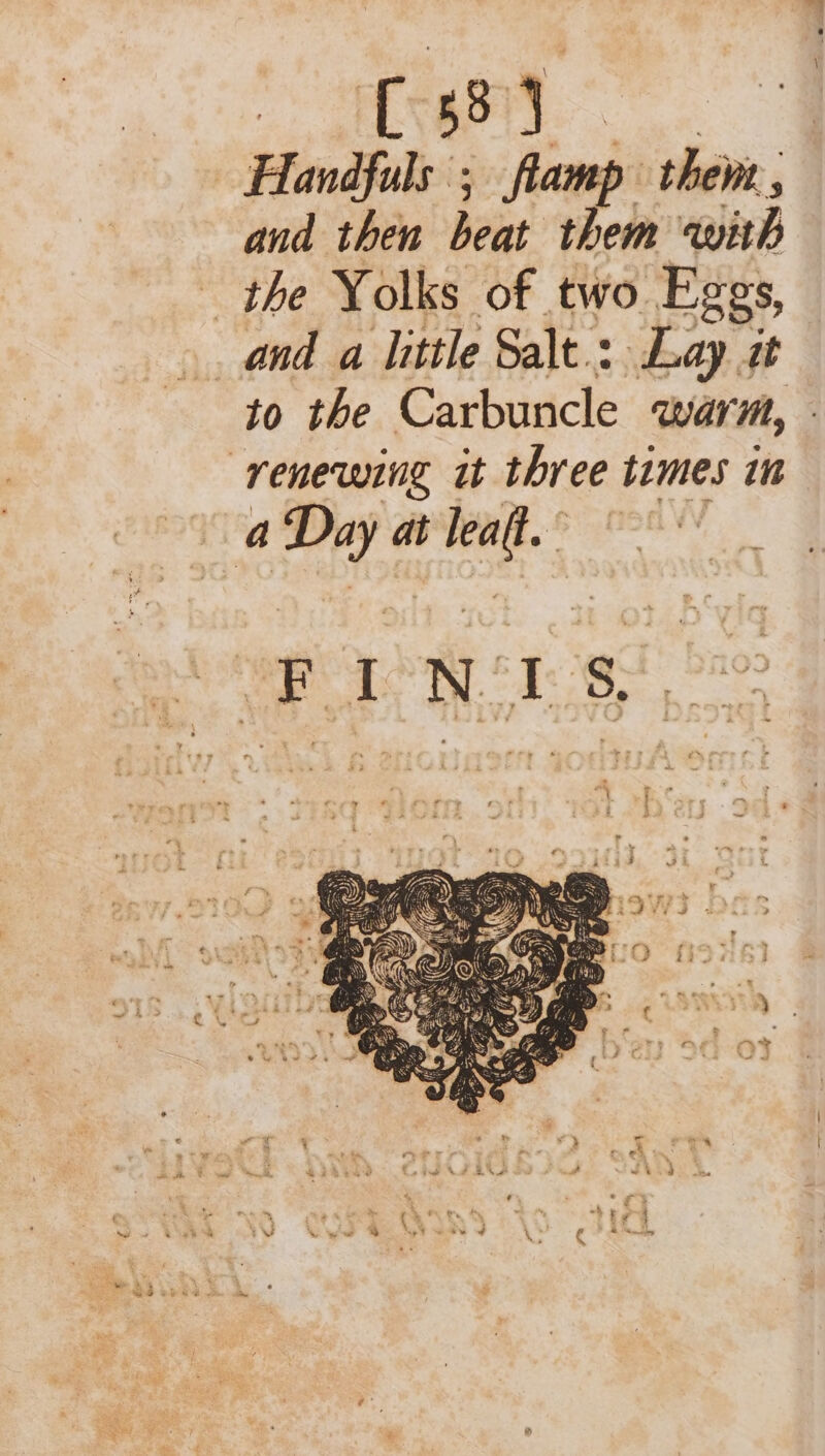 Handfuls : amp: thew , and then beat them with the Yolks of two. Eggs, and a little Salt.: Lay it to the Carbuncle warm, renewing tt three times in a Dy at ee;