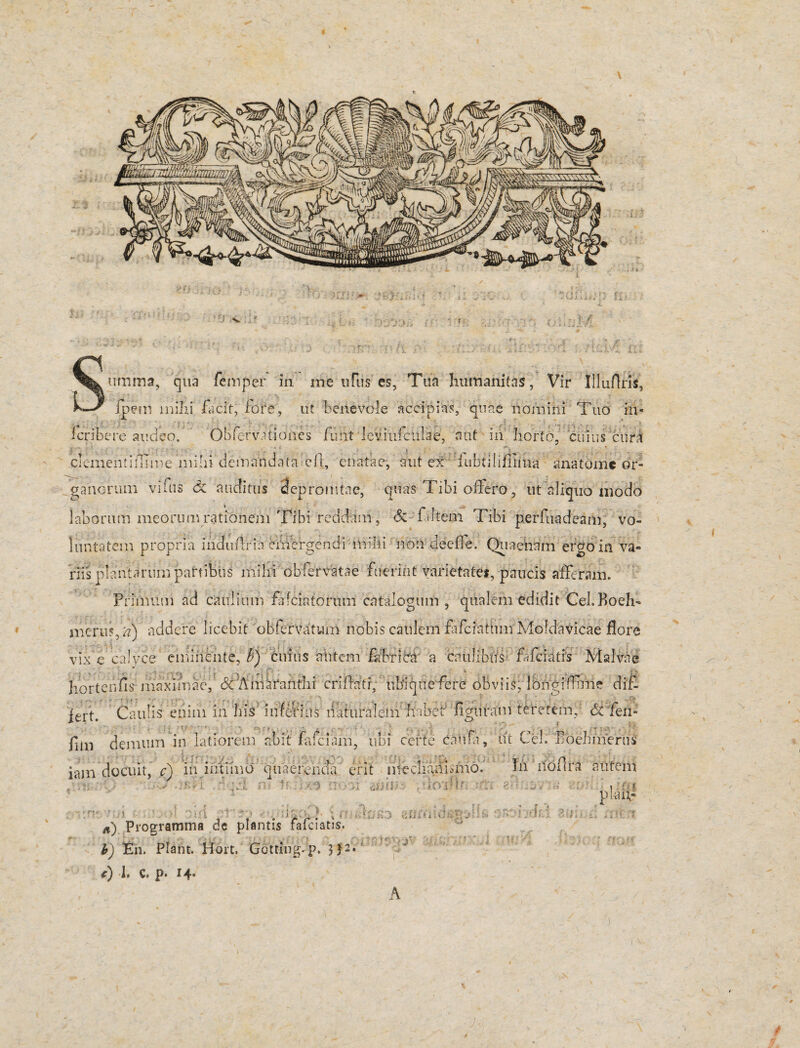 ulliii-D (i*.. 1 ) 1X I j i. /i ttmma, 'qua femper in ine ufus es, Tua humanitas, Vir Illuflris, jfpem mihi facit, fore, ut benevole accipias, quae nomini Tuo in* fcribere audeo/ Obferviflones funt leviiifciilae, aut in horto, ‘culus cur^t clement i ili me mihi demandata :cf1:, enatae,' aut ex iubtiliflima ana tome or¬ ganorum vifus <3t auditus depromtac, quas Tibi offero, ut aliquo modo laborum meorum rationem Tibi reddam, & f iftem Tibi perfuadeam, vo¬ luntatem propria ihaufifin emergendi milii non deeile. Qu aenam ergo in va¬ riis plantarum partibus mihi obfervatae fuerint varietates, paucis afferam. Primum ad caulium fafeiatorum catalogum , qualem edidit Cel.Boeh- merus, a) addere licebit obfervatum nobis caulem fafciattim Moldavicae flore vix e calyce eminente, b) cuius autem fabris a caulibus f-feiatis Malvae Jiortenfismaximae, dc Anikanthi criftati; ubiquefere obviis, Ibngiffme dif¬ fert. Caulis enim in his' inferius naturalem habef figuram teretem, <5c fen- fim demum in latiorem abit falciam, ubi derfe caiifa, ut Cei. Boehmerns ftl iiofira autem plaii- iam docuit, c) ih intimo qnae/ehda erit meenMnmo. - ^ -^v ::r—^ ■k-T*-v 'it VX ■£, l 4 > i ■ n) Programma de planus faiciatis. b) En. Piant. Hort. Gctting. p. i) 1. C. p. 14» A J-