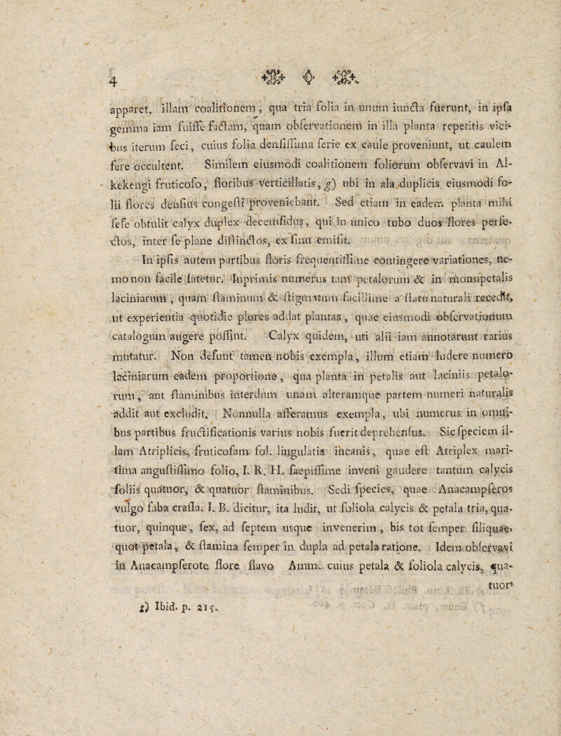 apparet, illam coalitionein , qua tria folia in unum i unda fuerunt, in ipfa gemma iam fui fle fidam, quam ob fervat ion em in illa planta repetitis vici¬ bus iterum feci, cuius folia denfifliina ferre cx caule proveniunt, ut caulem fere occultent. Similem eius modi coalitionein foliorum obfervavi in AI- kekengi fruticofo, floribus vertidlfatis, g) ubi in ala duplicis eiusmodi fo¬ lii flores denflus congefti proveniebant. Sed etiam in eadem planta mihi fefe obtulit calyx duplex decemfidu?, qui in unico tubo duos flores perfe- dos, inter fe plane diftindos, ex limi einifit. Inipfls autem partibus floris frequentiflime contingere variationes, ne¬ mo non facile fatetur. Inprimis numerus tam petalorum <5c in monopetalis laciniarum, quam flaminum • <3c fligmatum facillime a flatunaturali recedit, ut experientia quotidie plores addat plantas, quae eiusmodi obiervationum catalogum augere pdfllnt. Calyx quidem, uti alii iam annotarunt rarius mutatur. Non deflant tamen nobis exempla, illum etiam ludere numero laciniarum eadem proportione , qua planta in petalis aut laciniis petalo¬ rum, aut flaminibus interdum unam alteramque partem numeri naturalis addit aut excludit/ Nonnulla afferamus exempla, ubi numerus in omni¬ bus partibus frudifleationis varius nobis fueritdep.rehe.nfus* Sicfpeciem il¬ lam Atriplicis,. fruticofam fol. lingulatis incanis, quae efl Atriplex mari¬ tima angiifliflrmo folio, 1. R» H. faepiflime inveni gaudere tantum calycis foliis quatuor, <3c quatuor flaminibus. Sedi fpecies, quae Anacampferos vulgo fiba crafla. L I>. dicitur, ita ludit, ut foliola calycis & petala tria, qua¬ tuor, quinque, fex, ad feptem usque invenerim , bis tot femper flliquae» quot 'petala, & flamina femper in dupla ad petala ratione. Idem obfervavi in Auacainpferote flore flavo Amnn cuius petala & foliola calycis, qua-- , ,,. . .,- tuor» j) Ibid. p. zi