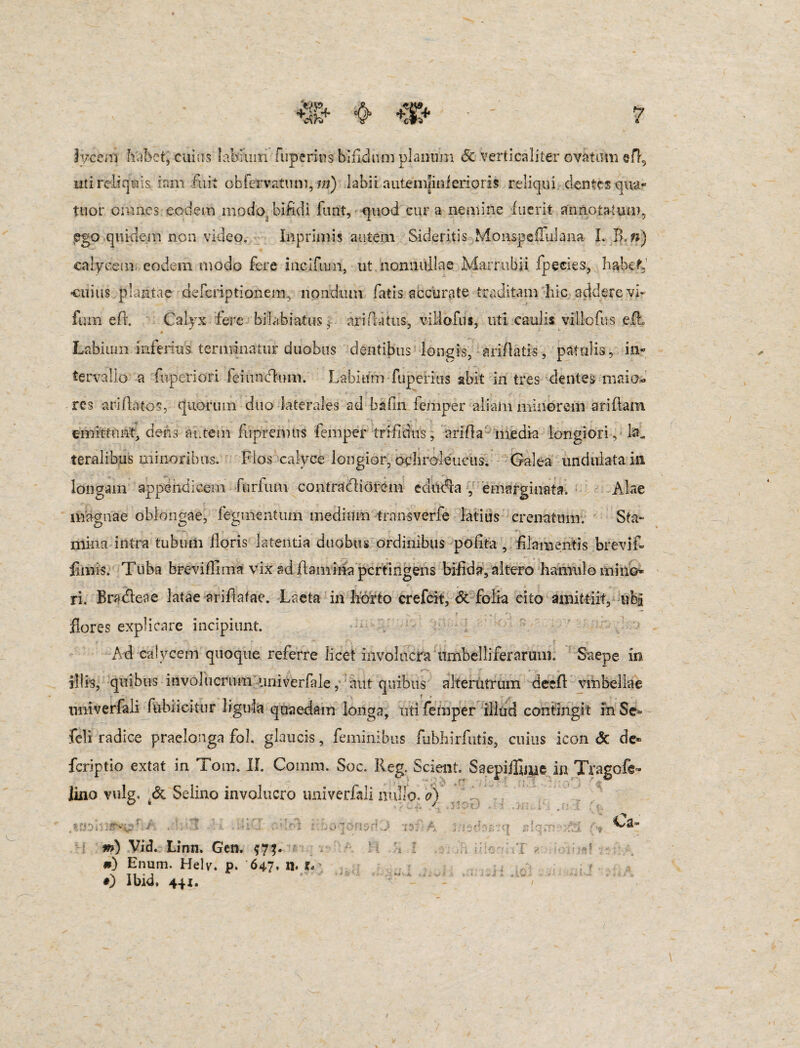 lyceiii habet, cuius labium fuperitis bifidum planum Sc verticaliter ovatum efh, uti reliquis ram fiiit obfervatum, m) labii autem|inierioris reliqui dentes quar tuor omnes eodem modo bifidi funt, quod cur a nemine fuerit annotatum, ego quidem non video. Inprimis autem Sideritis Monspeffulana I. B.n) calycem eodem modo fere incifum, ut nonnullae Marrubii fpecies, habet, cuius plantae deferiptionem, nondum fatis accurate traditam hic addere vir fum e fi. Calyx fere bilabiatus, ari da tus, viilofus, uti caulis viilofus e fi. Labium inferius terminatur duobus dentibus longis, ariflatis, patulis, in¬ tervallo a fuperiori feiunclnm. Labitfm fuperius abit in tres dentes maio* res arifiatos, quorum duo laterales ad bafin femper aliam minorem ariflam emittunt, deris autem fuprennrs femper trifidus, arida media longiori, la¬ teralibus minoribus. Flos calyce longior, ochroleuctis. Galea undulata in longam appendicem furfutu contradiorem cauda , emarginata. Alae magnae oblongae, Tegmentum medium transverfe latius crematum. Sta¬ mina intra tubum floris latentia duobus ordinibus polita , filamentis brevifi fimis. Tuba breviflima vix ad flamina pertingens bifida, altero hamulo mino* ri. Bradeae latae arifiafac. Laeta in horto crefcit, & folia cito amittiit, ubi flores explicare incipiunt. Ad calycem quoque referre licet involucra umbelliferaruiiL Saepe in illis, quibus involucrum univerfale, aut quibus alterutrum deefl vmbellae nniverfali fubiicifur ligula quaedam longa, uti femper illud contingit in Se* feli radice praelonga fol. glaucis, feminibus fubhirfutls, cuius icon & de» feriptio extat in Tom. II. Coram. Soc. Ileg. Scient. Saepijfime in Tragofe- lino vulg, & Seiino involucro imiverfali nullo, o) m) VicJ. Linn. Gen. $7$. *) Enum. Helvu p. 647. n. r« #) Ibid, 441. Ca* i ■?.