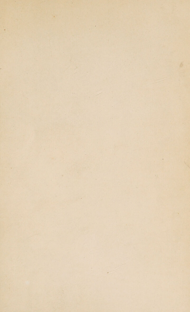 \ iv r. ^•’. i. ^'r- • »-< :U^' I 4 V‘:\' .■»Nt- \ • 'iV * -« 1