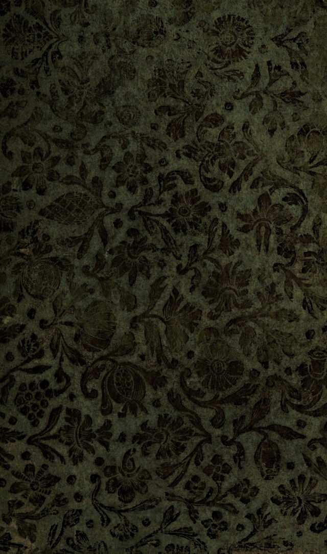 digitised image 1