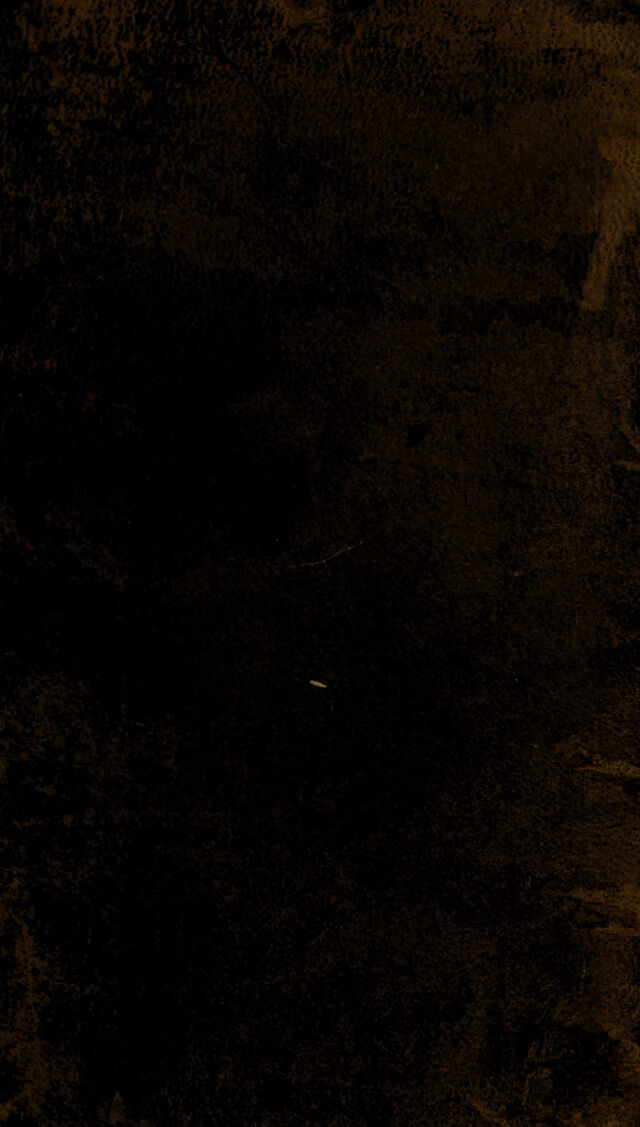 digitised image 1