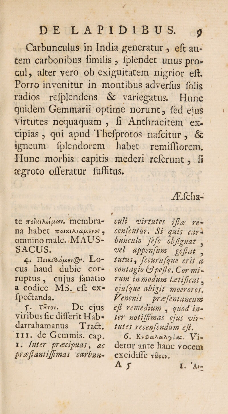 Carbunculus in India generatur, eft au¬ tem carbonibus fimilis , fplendec unus pro¬ cul, alter vero ob exiguitatem nigrior eft. Porro invenitur in montibus adverfus folis radios refplendens & variegatus. Hunc quidem Gemmarii optime norunt, fed ejus virtutes nequaquam , fi Anthracitem ’ ex¬ cipias , qui apud Thefprotos nafcitur, & igneum fplendorem Jiabet remiffiorem. Hunc morbis capitis mederi referunt, fi ^groto offeratur fuffitus. te membra¬ na habet , omnino male. MAUS- SACUS. 4« UoiKii^ofAivQ^. Lo¬ cus haud dubie cor¬ ruptus 5 cujus fanatio a codice MS. eft ex- fpeiftanda. f. tstov. De ejus viribus fic difterit Hab- darrahamanus Tra6t. III. de Gemmis, cap. I. Inter pr^cipuas ^ ac pr^fiantijjimas cctrbun^ iEfcha” culi virtutes re^ cenfentur. Si quis car-^ hunculo fefe ohjignat ^ vel appenfum geflat ^ tutus ^ fecurufque erit a contagio ^pefte. Cor mi^ rum in modum Icstijlcat ^ ejufque abigit moerores. enenis prcefentaneum eft remedium , quod in-- ter notijjimas ejus vir-' tutes recenfendum eft. S, Ki(t>obKot.Kyi(i(A, Vi¬ detur ante hanc vocem cxcidifle