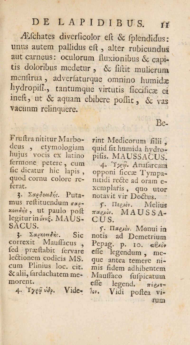 ALfchates diverficolor eft & fplendidos: unus autem pallidus eft ^ alter rubicundus aut carneus: oculorum fluxionibus & capi» tis doloribus medetur 5 & fiftit niulieriiiii nienftrua^3 adverlaturque omnino humidx hydropifi.j tantumque virtutis ficcificse ei ineft^ ut & aquam ebibere poffic ^ & yas vacuum relinquere. Fruftra nititur Marbo- deus 5 etymologiam hujus vocis ex latino fermone petere, cum fic dicatur hic lapis , quod cornu colore re¬ ferat. Puta¬ mus reft i tuendum , Ut paulo poft legitur in ovu|. MAUS- SAGUS. J. 'loi^yiofi^^g. Sic correxit Mauflacus , fed prasflabit fervare ledlionem codicis MS. cum Plinius loc. cit. & alii, fardachatem me¬ morent. 4. Vidc-^ Be- rint Medicorum lilii ^ quid fit hiimida hvdro- pifis. MAVSSACVSi 4. ‘Txf. Anafarcam opponi ficc^ Tympa- nitidi redle ad oram e- xemplafis , quo utor notavit vir Dodlus. ‘ f. UiijA. Meliug TTci^Qv, M A U S S A* cus. f. Uoc^^ov. Monui io notis ad Demetrium Pepag. p. IO. ^^09 cfTe legendum , me- que antea temere ni¬ mis fidem adhibentem Maufiaco fufpicatum efie legend. Vidi poftea vi¬ rum