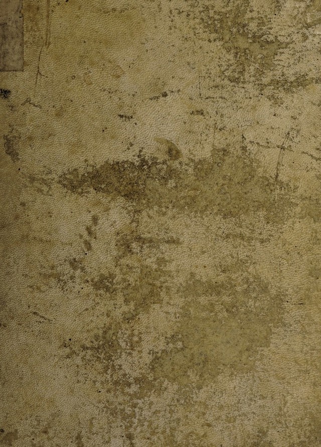 digitised image 1