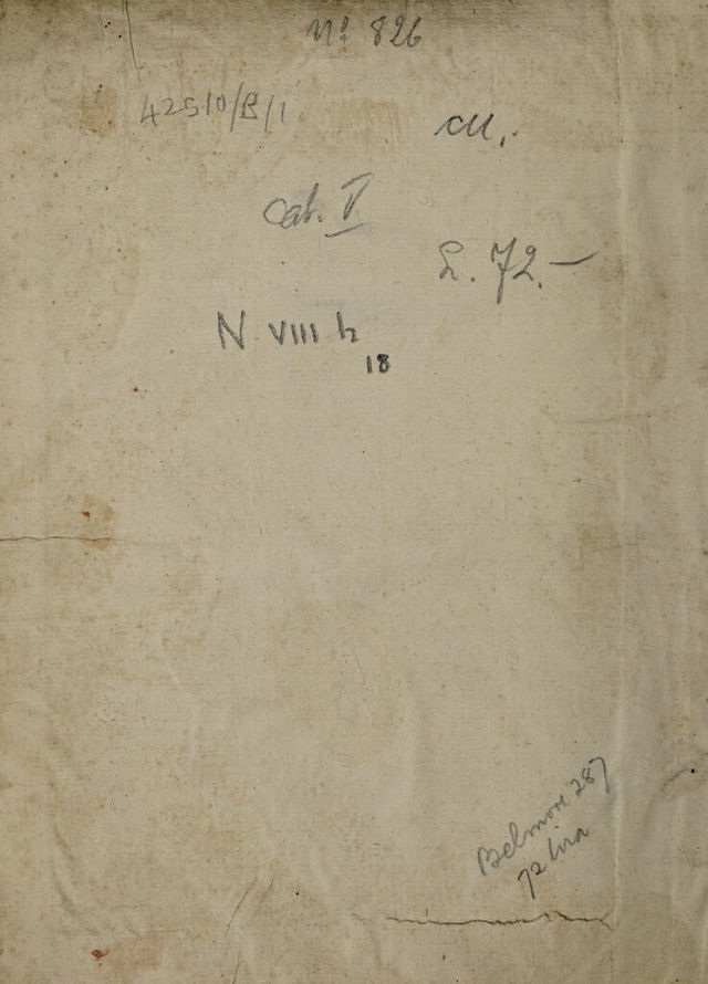 digitised image 2
