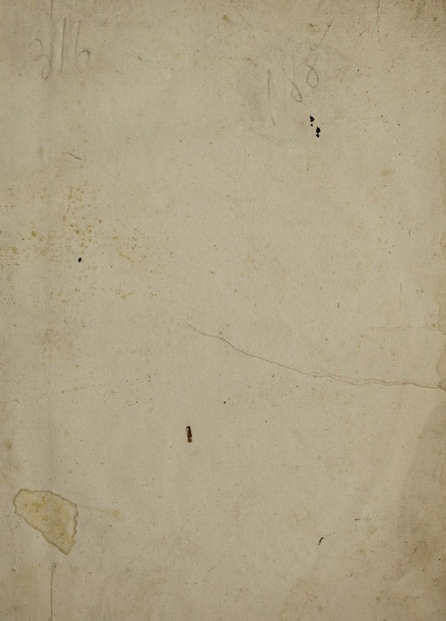 digitised image 3