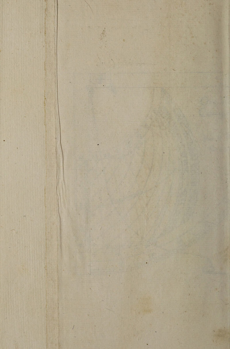 ' i ,-fr ■. . > t ' \ \ I ! \ t