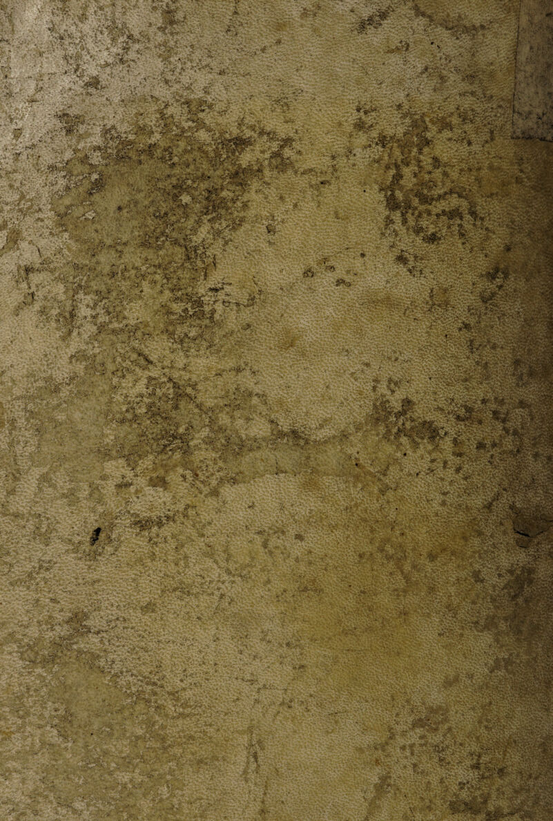 & - *4^É®S • .' . \2r -. TÌZi*C?*J '. .viti1 ■0fAw*7if- pm^w fessisi fiyX‘ ■' fin1)? . vrjflr* v>* •-•(!$’ • •, ‘.'“ • v3' .t fl*? * •~;U’£SS Mmt' . >*?£*?*' £gjfe» He3 .'■ vVti :■'■ . v: ^ ^ .... •/»»>>'> ’•• •■ ;.. >*.Vv; -V. VS- ■- .•s&ìfiSh: iigHSfc«g K^g