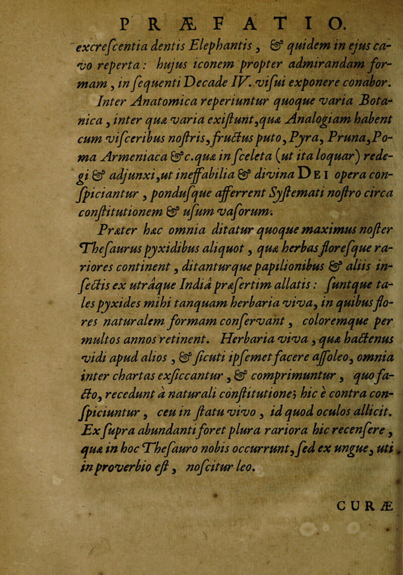 P' R A F ATIO. excrefcentia dentis Elephantis, & quidem in ejus ca¬ vo reperta: hujus iconem propter admirandam for¬ mam , in fequenti Decade IF'. vifui exponere conabor. Inter Anatomica reperiuntur quoque varia Bota¬ nica , inter qua varia exifunt,qua Analogiam habent cum vifceribus nofr is, fructus puto, Pyra, Pruna,Po¬ ma Armeniaca &c.qua in fceleta (ut ita loquar) rede¬ gi & adjunxi,ut ineffabilia Sf divina D EI opera con- fpiciantur , pondufque afferrent Syfemati noflro circa confitutionem & ufum vaforum. Prater hac omnia ditatur quoque maximus no fer 4Thefaurus pyxidibus aliquot, qua herbas forefque ra¬ riores continent, ditanturque papilionibus & aliis in- feffis ex utrdque India prafertim allatis: funtque ta¬ les pyxides mihi tanquam herbaria viva, in quibusfo¬ res naturalem formam confervant, coloremque per multos annos retinent. Herbaria viva, qua haBenus vidi apud alios, & ficuti ipfemet facere ajfoleo, omnia inter chartas exfccantur, & comprimuntur , quofa- Bo, recedunt d naturali conflitutionej hic e contra con- fpiciuntur, ceu in flatu vivo, id quod oculos allicit. Exfupra abundanti for et plura rariora hic recenfere, qua in hoc ‘Ehefauro nobis occurrunt, fed ex ungue, uti « in proverbio efl , nofcitur leo.