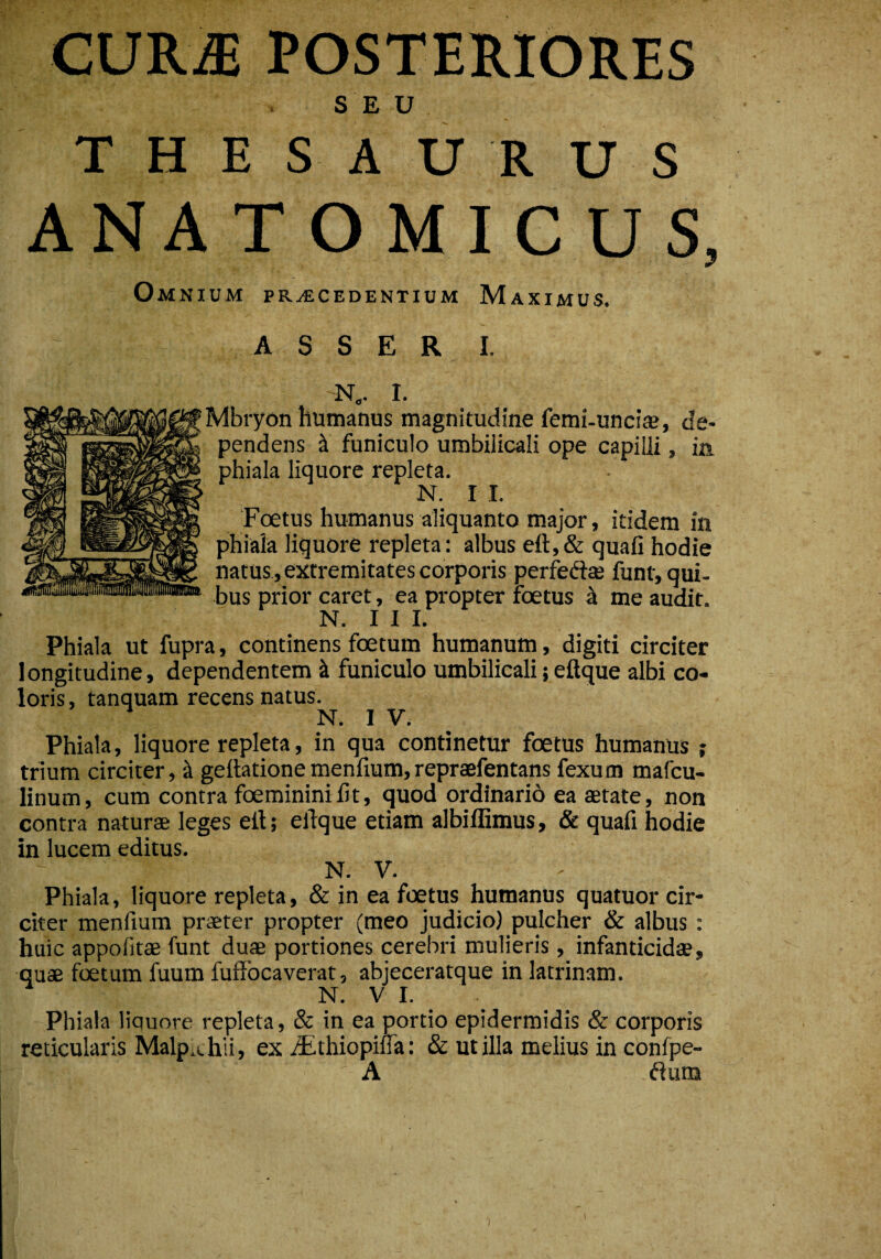 CURiE POSTERIORES SEU THESAURUS ANATOMICUS, Omnium praecedentium Maximus. ASSERI. 'N0. I. Mbryon humanus magnitudine femi-unciae, de¬ pendens <l funiculo umbilicali ope capilli, in phiala liquore repleta. N. I I. Foetus humanus aliquanto major, itidem in phiala liquore repleta: albus eft,& quafi hodie natus , extremitates corporis perfeftae funt, qui¬ bus prior caret, ea propter roetus a me audit. N. I I I. Phiala ut fupra, continens foetum humanum, digiti circiter longitudine, dependentem i funiculo umbilicali; eftque albi co¬ loris , tanquam recens natus. N. I V. Phiala, liquore repleta, in qua continetur foetus humanus ; trium circiter, i geilationemenfium,repraefentans fexum mafcu- linum, cum contra foemininiiit, quod ordinario ea aetate, non contra naturae leges eit; e lique etiam albiflimus, & quafi hodie in lucem editus. N. Y. Phiala, liquore repleta, & in ea foetus humanus quatuor cir¬ citer menfium praeter propter (meo judicio) pulcher & albus : huic appofitae funt duae portiones cerebri mulieris, infanticidae, quae foetum fuum fuffoca verat, abjeceratque in latrinam. N. V L Phiala liquore repleta, & in ea portio epidermidis & corporis reticularis Malp.ehii, ex iEthiopifia: & utilia melius in confpe- A dum )