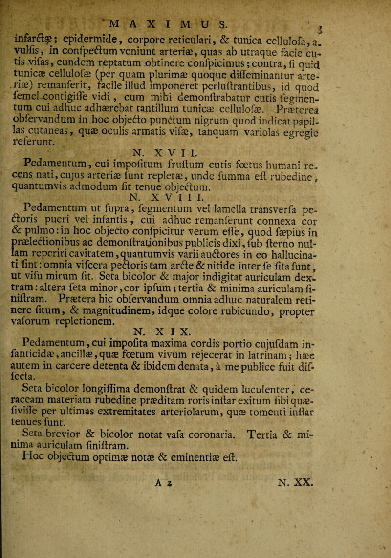 ‘MAXIMUS. infardag; epidermide, corpore reticulari, & tunica cellulofa,a. vulfis, in conlpedum veniunt arteriae, quas ab utraque facie cu¬ tis vifas, eundem reptatum obtinere confpicimus; contra, fi quid tunicae cellulofae (per quam plurimae quoque diffeminantur arte- .riae) remanferit, facile illud imponeret perluftrantibus, id quod femel contigifle vidi, cum mihi demonftrabatur cutis fegmen- tum cui adhuc adhaerebat tantillum tunicae cellulofae. Praeterea obfervandum in hoc objedo pundurn nigrum quod indicat papil¬ las cutaneas, qus oculis armatis vifae, tanquam variolas egregie referunt. N. X V I 1. Pedamentum, cui impolitum frultum' cutis foetus humani re¬ cens nati,cujus arteriae funt repletae, unde fumma eft rubedine, quantumvis admodum fit tenue objedum. N. X V I I I. Pedamentum ut fupra, fegmentum vel lamella transverfa pe¬ doris pueri vel infantis, cui adhuc remanferunt connexa cor & pulmo:in hoc objedo confpicitur verum efle, quod faepius in praeledionibus ac demonltrationibus publicis dixi, fub fterno nul¬ lam reperiricavitatem,quantumvis varii audores in eo hallucina- ti fint: omnia vifcera pedoris tam arde & nitide inter fe lita funt, ut vifu mirum fit. Seta bicolor & maj'or indigitat auriculam dex¬ tram : altera feta minor, cor ipfum; tertia & minima auriculam fi- niftram. Praetera hic obfervandum omnia adhuc naturalem reti¬ nere fitum, & magnitudinem, idque colore rubicundo, propter valorum repletionem. N. XIX. Pedamentum, cui impofita maxima cordis portio cujufdam in¬ fanticidae, ancillas,quae foetum vivum rejecerat in latrinam; haec autem in carcere detenta & ibidem denata, a me publice fuit dif- feda. Seta bicolor longiffima demonftrat & quidem luculenter, ce- raceam materiam rubedine praeditam roris inllar exitum iibiquae- fiviffe per ultimas extremitates arteriolarum, quae tomenti inllar tenues funt. Seta brevior & bicolor notat vafa coronaria. Tertia & mi¬ nima auriculam finiltram. Hoc objedum optimae notae & eminentiae eft. V*