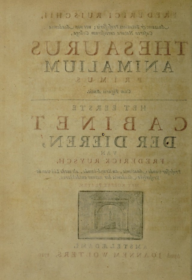 digitised image 2