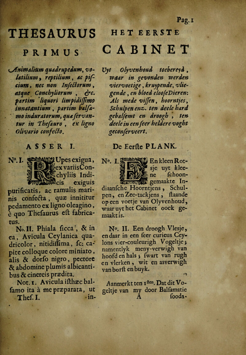 THESAURUS PRIMUS i^Aüim alium quadrupedum, 'vo¬ latilium » reptilium, ac pif ciutn > non Inferiorum, atque Conchyliorum , &c. partim liquori limpidijjimo innatantium, partim balfa- * *#0 induratorum, fervan¬ tur in Thefauro , Olivario conferto. ASSER I. Pag. HET EERSTE CABINET Uyt Olyvenhoud toebereyi, gevonden voerden viervoetige, kruypende, vlie¬ gende , eloofeDieren: Als mede viflèn, hoorntjes, Schulpen enz*, ten deelehard gebalfemt en droogh , /» /^r heldere voght geconferveert. De Eerfte PLANK. N°.I. exigua, ||exvariisCon- Ptchyliis Indi- Peis exiguis purificatis, ac ramulis mari¬ nis confe&a , quae innititur pedamento ex ligno oleagino, è quo Tliefaurus eft fabrica¬ tus. No.IÏ. Phiala ficca', & in ea, Avicula Ceylanica qua- dricolor, nitidiflima, fc: ca¬ pite colloque colore miniato, alis & dorfo nigro, pectore & abdomine plumis albicanti¬ bus & cinereis praedita. Not. i. Avicula ifthaec bal- famo ita a me praeparata, ut Thef.I. in- N°. En kleen Rot¬ sje uyt klee- ne fchoon- gemaakte In¬ di aan fch e Hoorntjens, Schul¬ pen , en Zee-tackjens , ftaande opeen voetje van Olyvenhoud, waar uyt het Cabinet oock ge¬ maakt is. N°. II. Een droogh Viesje, en daar in een feer curieus Cey- lons vier-couleurigh Vogeltje} namentlyk meny-verwigh van hoofd en hals } fvvart van rugh en vlerken , wit en asverwigh van borft enbuyk. Aanmerkt ten iften. Dat dit Vo¬ geltje van my door Balfamatie A fooda-