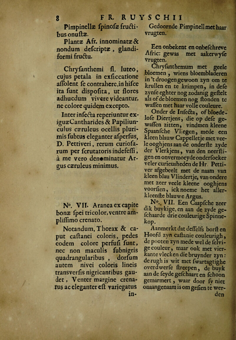 Pimpinellae fpinofefrufti- bus onuftae. Plantae Afr. innominatae & nondum defcriptae, glandi- formi fruftu. Chryfanthemi fl. lutco, cujus petala in exficcatione aflblent fe contrahere,in hifce ita funt dispofita, ut flores adhuedum vivere videantur, ne colore quidem excepto. Inter inferta reperiuntur ex- iguaeCantharides & Papiliun¬ culus caeruleus ocellis pluri¬ mis fubtus eleganter afperfus, D. Pettiveri, rerum curiofa- rum per ferutatoris indefefli, a me vero denominatur Ar¬ gus caeruleus minimus. N°. VII. Aranea ex capite bonae fpei tricolor,ventre am- pliflimo crenato. Notandum, Thorax & ca¬ put caftanei coloris, pedes eodem colore perfufi funt, nec non maculis fubnigris quadrangularibus , dorfum autem nivei coloris lineis transverfis nigricantibus gau¬ det , Venter margine crena- tus ac eleganter eft variegatus in- Gedoornde Pimpincll met haar vrugten. Een onbekent en onbefchrevc Afric: gewas met aakerwyfe vrugten. Chryfanthemum met geele bloemen , wiens bloembladeren in ’t droegen gewoon zyn om te krullen en te krimpen, in dele zynfe eghter nog zodanig geftelt als of de bloemen nog Honden te wallen met haar volle couleure. Onder de Infe&a, of bloede- lofe Diertjens, die op defe ge¬ waden zitten, vindmen kleene Spaanfche Vliegen, mede een kleen blauw Cappelletje met vee- le ooghjens aan de onderde zyde der Vlerkjens, van den neerdi- gen en onvermoeydeonderfoeker veler curieusheden de Hr. Petti- ver afgebeelt met de naam van kleen blau Vlindertje, van ondere met zeer veele kleene ooghjens voorden, icknoeme het aller- kleende blauwe Argus. N°., VII. Een Caapfche zeer dik buykige4 en aan de zyde ge- fchaarde driecouleurigeSpinne- kop. Aanmerkt dat defTelfs borden Hoofd zyn cadanie couleurigh, de pooten zyn mede wel de fel vi¬ ge couleur, maar ook met vier¬ kante vlecken die bruynder zyn r derughis wit met fwartagtighe overdwerfe dreepen, de buyk aan de feyde gefchaart en fchoon gemarmert, waar door fv niet onaangenaam is om gefien te wer-