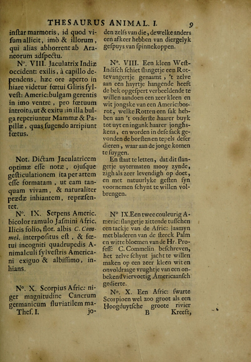 inftar marmoris, id quod vi- fumallicit, imo & illorum, qui alias abhorrent ab Ara¬ neorum adfpe&u. N°. VIII. Jaculatrix Indias occident: exilis, a capillo de¬ pendens, haec ore aperto in hiare videtur foetui Gliris fyl- veft: Americ:bulgam gerentis in imo ventre , pro foetuum introitu,ut & exitu :in illa bul¬ ga reperiuntur Mammae & Pa¬ pillae, quas fugendo arripiunt Foetus. Not. Didam Jaculatricem optimae effe notae, ojufque gefticulationem ita per artem efle formatam , ut eam tan- quam vivam , & naturaliter praedae inhiantem, repraefen- tet. N°. IX. Serpens Americ. bicolor ramulo Jafmini Afric. Ilicis folio, flor, albis C. Com- mel. interpofitus efl , & foe¬ tui incogniti quadrupedis A- nimalculifylveftris America¬ ni exiguo & albiflimo, in¬ hians. N°. X. Scorpius Afric: ni¬ ger magnitudine Cancrum germanicum fluviatilem ma- Thef.I. jo- 9 den zelfs van die, dewelke anders een afkeer hebben van diergelyk gefpuys van fpinnekoppen. N°. VIII. Een kleen Weft- Indifch fchiet flangetje een Rot- tevangertje genaamt , 't zelve aan een hayrtje hangende heeft de bek opgefpert verbeeldende te willen aandoen een zeer kleen en wit jongslee van een Americrbos- rot, welke Rotten een fak heb¬ ben aan 't onderfte haarer buyk tot uyt eningank haarer jonghs- kens, en worden in defefack ge¬ vonden de borften en tepels defer dieren, waar aan de jonge komen te fuygen. En ftaat te letten, dat dit Slan¬ getje uytermaten mooy zynde, zigh als zeer levendigh op doet, en met natuurlyke geften fyn voornemen fchynt te willen vol¬ brengen. N° IX.Eentweecouleurig A- meric: Slangetje zittende tuflehen eentackje van de Afric: )asmyn met bladeren van de fteeck Palm en witte bloemen van de Hr. Pro- feff: C. Commelin befchreven, het zelve fchynt jachtte willen maken op een zeer kleen wit en onvoldraage vrughtje van een on- beken d'viervoetig Americaanfch gedierte. N°. X. Een Afric: fwartc Scorpioen wel zoo groot als een Hoogduytfche groote rivier B Kreeft,