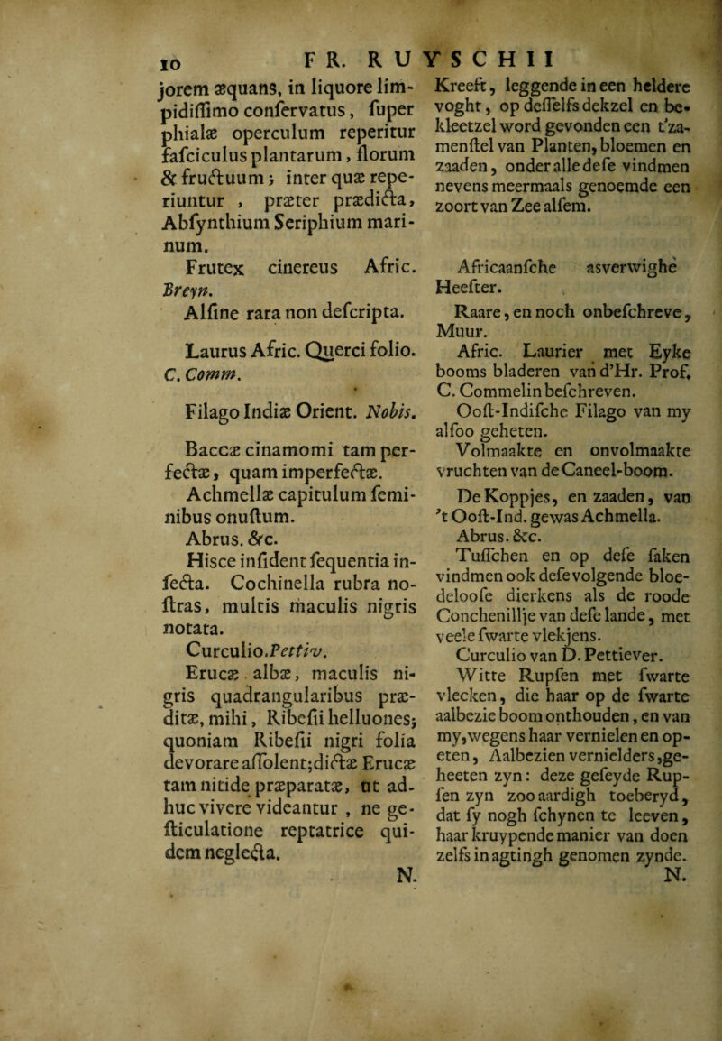 io jorem aequans, in liquore lim- pidiflimo confervatus, fuper phialae operculum reperitur fafciculus plantarum, florum Stfruftuums inter quae repe- riuntur , praeter praedifta, Abfynthium Seriphium mari¬ num. Frutex cinereus Afric. Breyn. Alfine rara non defcripta. Laurus Afric. Querci folio. C. Comm. # Filago Indiae Oriënt. Nobis. Baccae cinamomi tam per¬ fecte* quam imperfeCte. Achmellae capitulum femi¬ nibus onuflum. Abrus. <3rc. Hisce infident fequentia in- feCta. Cochinella rubra no- llras, multis maculis nigris notata. Curculio .Pettiv. Erucae albae, maculis ni¬ gris quadrangularibus prae¬ ditae, mihi, Ribcfii helluonesj quoniam Ribefii nigri folia devorare affolen^diCte Erucae tam nitide praeparatae, tit ad¬ huc vivere videantur , ne ge- fticulatione reptatrice qui¬ dem negle&a. N. Kreeft, leggende in een heldere voght, op deflelfs dekzel en be- kleetzel word gevonden een tza- menftelvan Planten, bloemen en zaaden, onder alle defe vindmen nevens meermaals genoemde een zoort van Zee alfem. Africaanfche asverwighè Heefter. Raare, en noch onbefchreve , Muur. Afric. Laurier met Eyke booms bladeren van d’Hr. Prof* C. Commelinbefchreven. Oofl-Indifche Filago van my alfoo geheten. Volmaakte en onvolmaakte vruchten van deCaneel-boom. DeKoppjes, en zaaden, van ’t Ooft-Ind. gewas Achmella. Abrus. dcc. Tuflchen en op defe faken vindmen ook defe volgende bloe- deioofe dierkens als de roode Conchenillje van defe lande, met veele fwarte vlekjens. Curculio van D. Pettiever. Witte Rupfen met fwarte vlecken, die haar op de fwarte aalbezie boom onthouden, en van my,wegens haar vernielen en op¬ eten , Aalbczien vernielders ,ge- heeten zyn: deze gefeyde Rup¬ fen zyn zooaardigh toeberyd, dat fy nogh fchynen te leeven, haar kruypende manier van doen zelfs in agtingh genomen zynde.