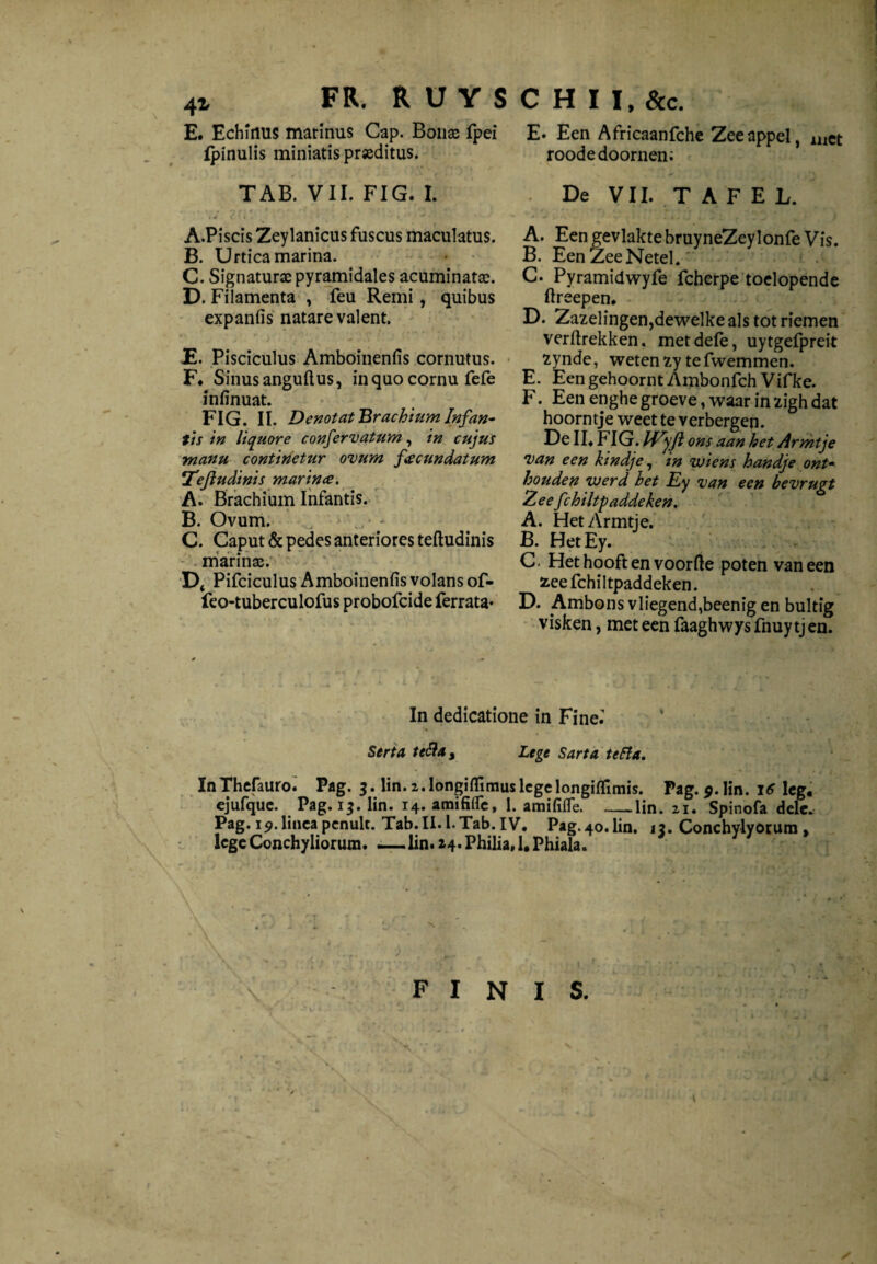 \ E. Echinus marinus Gap. Boiise fpei fpinulis miniatis prseditus. E. Een Africaanfche Zee appel, met roode doornen; TAB. VIL FIG. I. De VIL TAFEL. A. Piscis Zeylanicus fuscus maculatus. B. Urtica marina. C. Signaturae pyramidales acuminatae. D. Filamenta , feu Remi , quibus expanfis natare valent. £. Pisciculus Amboinenfis cornutus. F* Sinus anguftus, in quo cornu fefe infinuat. FIG. II. Denotat Brachium Infan¬ tis in liquore confervatum, in cujus manu continetur ovum fecundatum \Teftudinis marince. A. Brachium Infantis. B. Ovum. C. Caput & pedes anteriores teftudinis marinae. Dt Pifciculus Amboinenfis volans of- feo-tuberculofus probofcide ferrata* A. Een gevlakte bruyneZeylonfe Vis. B. EenZeeNetel. C. Pyramidwyfe fcherpe toelopende ftreepen. D. Zazelingen,dewelke als tot riemen verftrekken. met dele, uytgefpreit 2ynde, weten zy te fwemmen. E. EengehoorntAmbonfch Vifke. F. Een enghe groeve, waar in zigh dat hoorntje weet te verbergen. De II* FIG. IVyft ons aan het Armtje van een kindje, in wiens handje ont¬ houden werd het Ey van een bevrugt Zee fchiltpaddeken. A. Het Armtje. B. HetEy. C. Het hooft en voorfte poten van een fcee fchiltpaddeken. D. Ambons vliegend,beenig en bultig visken, met een faaghwys fnuy tj en. In dedicatione in Fine.' Serta te£Uy Legt Sarta te fla. InThefauro. Pag. 3. lin.z.longiftimuslcgelongilTimis. Pag.^.lin. 16 leg. ejufque. Pag. 13. lin. 14. amififle, I. amififle. —.lin. zi. Spinofa dele. Pag. ip.lincapcnult. Tab.II.l.Tab. IV. Pag.40.lin. 13. Conchylyorum , lege Conchyliorum. -—lin. 14* Philia* !• Phiala. -) . • finis.