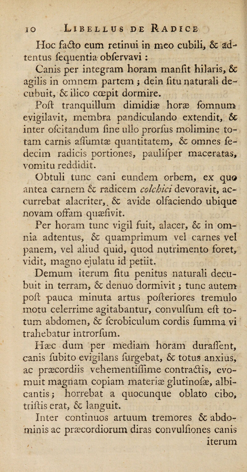 Hoc fado eum retinui in meo cubili, & atd- tentus fequentia obfervavi: Canis per integram horam manfit hilaris, & agilis in omnem partem ; dein fitu naturali de¬ cubuit, &ilico coepit dormire. Poft tranquillum dimidiae horae fomnum evigilavit, membra pandiculando extendit, & inter ofcitandum fme ullo prorfus molimine to¬ tam carnis affumtae quantitatem, & omnes fe- decim radicis portiones, paulifper maceratas, vomitu reddidit. Obtuli tunc cani eundem orbem, ex quo antea carnem & radicem colchici devoravit, ac¬ currebat alacriter,. & avide olfaciendo ubique novam offam quseftvit. Per horam tunc vigil fuit, alacer, & in om¬ nia adtentus, & quamprimum vel carnes vel panem, vel aliud quid, quod nutrimento foret, vidit, magno ejulatu id petiit. Demum iterum fitu penitus naturali decu¬ buit in terram, & denuo dormivit; tunc autem poft pauca minuta artus pofteriores tremulo motu celerrime agitabantur, convulfum eft to¬ tum abdomen, & fcrobiculum cordis fumma vi trahebatur introrfum. Haec dum per mediam horam duraffent, canis fubito evigilans furgebat, & totus anxius, ac praecordiis vehementiffime contradis, evo¬ muit magnam copiatn materiae giutinofe, albi¬ cantis ; horrebat a quocunque oblato cibo, triftis erat, & languit. Inter continuos artuum tremores & abdo¬ minis ac praecordiorum diras convulfiones canis iterum