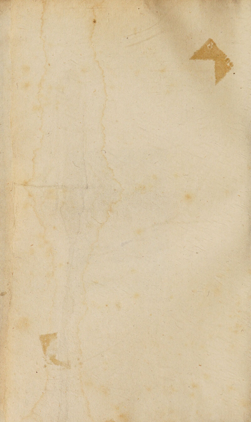 vil' -/ % > k 1 Vi- _, m' 4 '/