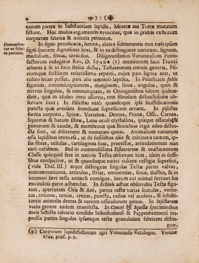 » .,.i..MW»iw'iii»in>iw« ii wm- -« ■ --- 1.1 ,—— ■ ......—--- eorum partes in Subftaotiam lapidis, Minerae aut Ttrrae mutatam fidunt. Hoc multis argumentis evincitur, quae in primis ex herum corporum fabrica & rmicela petuntur, Demonftra- }n lignis petrificatis, ferreis, aliisve fubterraneis nen raroipfam tur ex fabri- fignj {peCiem dsgnofcere licet, 51 in ea diftinguere corticem, lignum, calamum. mscjuyam> fibras, utriculos. Diligentillimus Veronenfium Petre- faflorum indagator Rev. D. S?adh (p) mentionem facit Trunci arborei a fe in ioco Bolca dicto, Teftaceorum amnis generis, Pif- ciumque foifilium refertillimo reperti, cujus pars lignea erat, ut cultro fecari poffet, pars alsa omnino lapidea. In Petrificatis foliis figuram, circumfcriptionem, marginem, fmus, angulos, quin & nervos fingulos, & non nunquam, in Oningenfibus (altem quibus¬ dam, quae in Mufeo meo affervo, rete fibrofum diltinbtillime ob- fervare licet; In Filicibus vero quandoque ipfa fructificationis punCta quae averfam frondium fuperficiem ornant. In pifeibus forma corporis, Spinae, Vertebrae, Dentes, Pinnae, Offa, Carnes, Squamae & harum fibrae, Lens oculi crydallina, ipfaque ofiicula|& pinnarum & caudae, & membranae quae Branchias tegit adeo diftin- fla funt, ut difeernere & numerare queas. Animalium variorum offa lapidibus irarnerfa , ut de foililibus aliis & caicinatis taceam, ip- fas fibras, cellulas , cartilagines fuas, proceffus, articulationem non raro exhibent. Sed in numerofilTima Teftaceorum & crudaceorum Claffe quicquid fere in nativis Tedis obfervare licet, idem in foffi- tibus confpicitur, ut & quandoque nativi coloris veftigia fuperfint, (vide Thef. III.) atque didinguas fingulas Telbe partes valvas, concamerationes, articulos, iirias, eminentias, finus, duCtus, & in interiori laevi telta animali contigua, locum cui animal fortiori fua mufculofa parte adhaerebat. In Echinis adhuc obfervabis Tedae figu¬ ram , aperturam Oris & Ani, partes tedae varias fcutulas, verru¬ cas, coluros, taenias, crenas, punCfa, radios vel aculeos, & inhabi¬ tantis animalis dentes & varium oiliculorum genus. In Infidorum vario genere eadem manifeda. In Cancri & Squiil£ fpeciminibus sneis Schido calcario candido Solenhofienfi & Pappenheimenfi im« preffis partes fingulas ipfamque tedae granulo(am fabricam diffin- _____guo* (p) Corporum lapide fagorum agri Veronenfis Catalogus» Veroaae *744. praef» p,<?» i