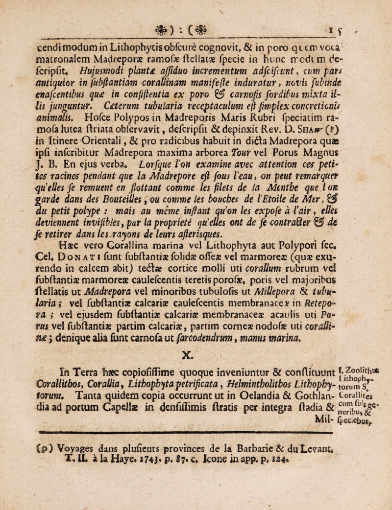 #) (st? cendi modum in Lit h op h y tis obfc u re cognovit, & in poro q i cm vota matronalem Madreporae ramofe Rellatae fpecie in hunc iredt m de- fcripiit. Hujusmodi plants ajjiduo incrementum adfcifamt, cum pars antiquior in fubftantiam corallinam manifefle induratur, novis fubinde enafcenttbus qu£ in confiftentia ex poro & carnofis (ordibus mixta il¬ lis junguntur. Ceterum tubularia receptaculum eft fmplex concretionis animalis. Hofce Polypos in Madreporis Maris Rubri fpeciatim ra¬ mo fa lutea flriata obfervavit, defcripfit & depinxit Rev. D. SHAfr (p) in Itinere Orientali, & pro radicibus habuit in di$a Madrepora quas ipfi infcnbitur Madrepora maxima arborea Tour vel Porus Magnus j. B. En ejus verba* Lorfque ton examine avec attentiori m peti- tes racines pendant que la Madrtpore eft fous leau, on peut remarquer <ju'elles fe remuent en ftottant comme les filets de la Mentbe que ion garde dans des Bouteilles 9 ou comme les bouches de lEtoile de Mtr, & du petit polype : mais au mime inflant qu on les expofe d Vair, elles deviennent invifibles, par lapropriete qtfettes ont de fe contraQer ■& de Je retirer dans les.rayons de leurs afterisques. Haec vero Gorallina marina vel Lithophyta aut Polypori fec„ Ceh Donati fum fubftantiae folidae offeae vel marmoreae (quae exu¬ rendo in calcem abit) teilae cortice molli uti coralium rubrum vel fubflantiae marmoreae caulefcemis teretis porofae, poris vel majoribus ftellatis ut Madrepora vel minoribus tubulofis ut Millepora Si tuba* laria t vel fubflantiae calcariae caulefcentis membranacer in Retepo- ra ; vei ejusdem fubflantiae calcariae membranaceae acaulis uti Po¬ rus vel fubflantiae partim calcariae, partim corneae nodofae uti coralii- denique alia funt carnofaut fmodendrim, manus marina. In Terra haec copiofifTime quoque inveniuntur & conflituunt !*zhoolltfl1* Corallitbos, Corallia, Lithophytapetrificata, Helminthohtbos Lithophy- torum sf* torum. Tanta quidem copia occurrunt ut in Oelandia & Gothlan- Corallites dia ad portum Capella in denfiflimis liratis per integra lladia & neHbus&£' Mil- ipeclebuif. Ci>) Voyages dans plufieurs pro vinces de la Barbarie Sc du Levanto T* II* a la Haye* 1743» P* $7* c» Icone in app* p, za4*