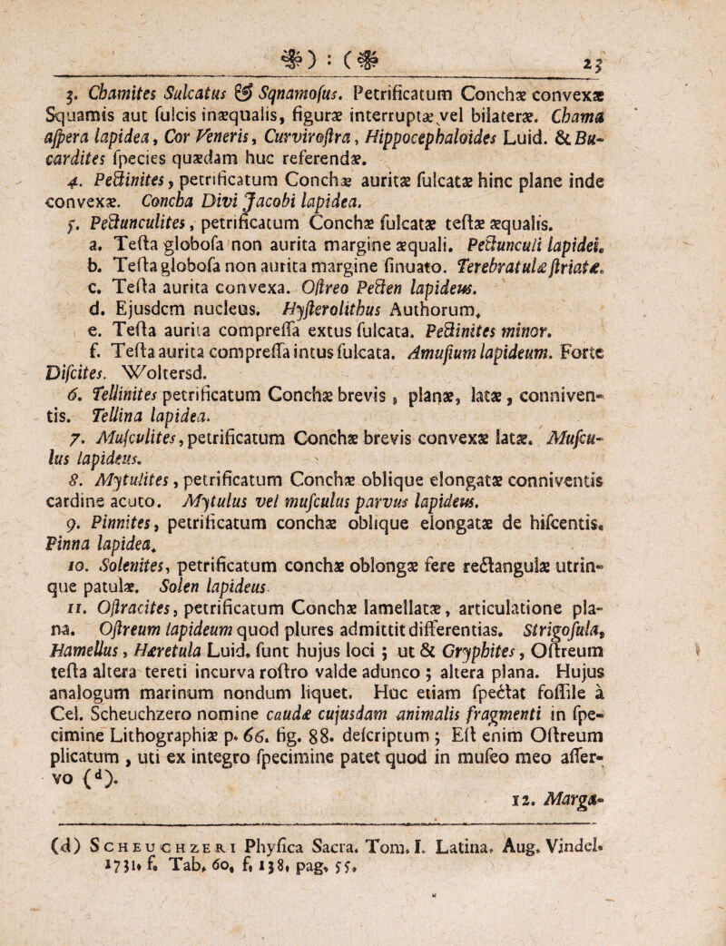 #) : (# 5. Chamites Sulcatus & Sqnamofus. Petrificatum Conchae convexae Squamis auc fulcis inaequalis, figurae interruptae vel bilaterae. Chama ajpera lapidea, Cor Veneris, Curvirojlra, Hippocephaloides Luid. cardites fpecies quaedam huc referendae. 4. PeSinitesy petnficatum Concha auritae fulcatae hinc plane inde convexae. Concha Divi Jacohi lapidea. jT. PePtunculites, petnficatum Conchae fulcatae teftae aequalis. a. Tefla globofa non aurita margine aequali. Pethincuii lapideh b. Tefla globofa non aurita margine finuato. TerebratuU jlriat£* c. Tefla aurita convexa. O/Ireo PePten lapidem. d. Ejusdem nucleus. Hjjlerolithus Authorum, e. Tefla aurita compreffa extus fulcata. PePlinites minor. f. Tefla aurita compreffa intus fulcata. Amufwm lapideum. Forte Difcites. Woltersd. 6. Teliinites petrificatum Conchae brevis» planae, latae ? conniven* tis. Tellina lapidea. 7. Mufculites, petrificatum Conchae brevis convexae latae* Afufeu- lus lapideus. £. Mytulites, petrificatum Conchae oblique elongatae con ni ventis cardine acuto. Mitulus vel mujculus parvus lapideus. 9. Pinnites, petrificatum conchae oblique elongatae de hifcenti$« Fiwwtf lapidea. 10. Solenites, petrificatum conchae oblongae fere reflanguiae utrin- que patulae. Solen lapideus 11. Ojiracites, petrificatum Conchae lamellatae, articulatione pla¬ na. Oftreum lapideum quod plures admittit differentias. Strigofalfy, Hamellus, H^ret ula Luid. funt hujus loci; ut & Crjphites, Oftreum tefla altera tereti incurva roftro valde adunco ; altera plana. Hujus analogum marinum nondum liquet. Hoc etiam fpe£lat foffile a Cei. Scheuchzero nomine caud£ cujusdam animalis fragmenti in fpe- cimine Lithographiae p» 66* fig. 88. dderiptum ; Eft enim Oftreum plicatum , uti ex integro fpecimine patet quod in mufeo meo affer- vo (d). ii* Marga* (d) Scheuchzeri Phyfica Sacra. Toni. L Latina. Aug. Vindel. J73U fe Tab. 6o% fi 158. pag, $$*