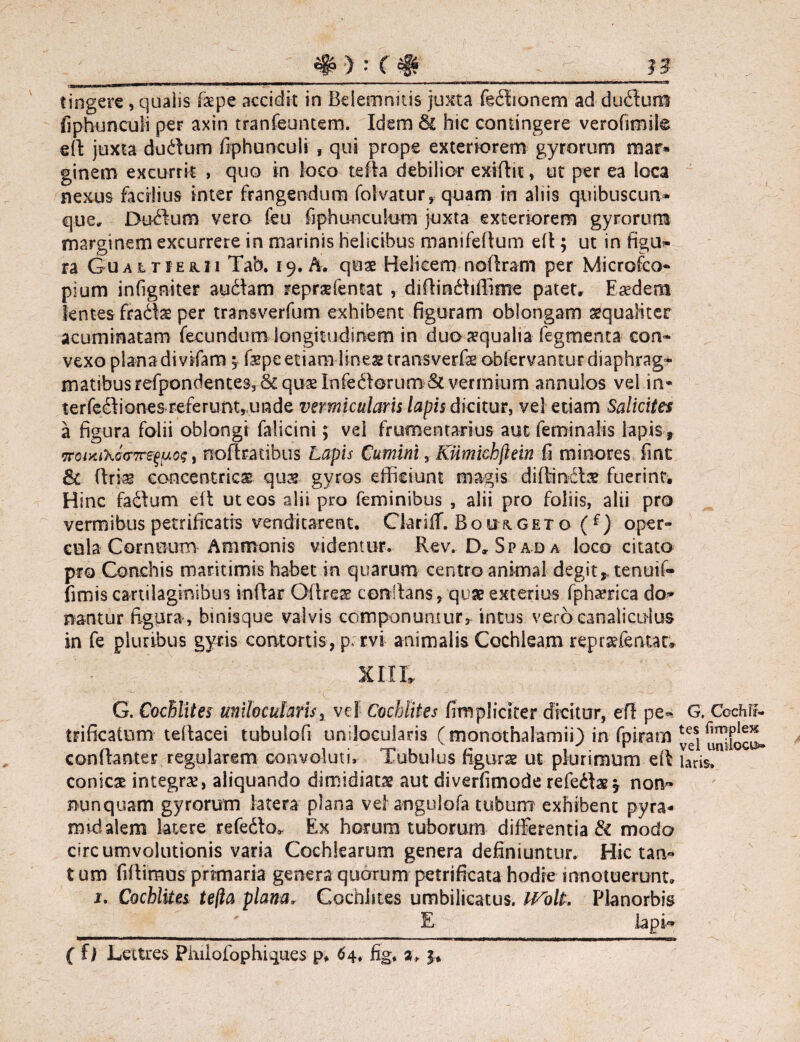 rl «tii— L' u—-m--—*——w«—p«— tingere , qualis fxpe accidit in Beiemnitis juxta fedlionem ad dudluro fiphunculi per axin tranfeuntem. Idem 8£ hic contingere verofimile eft juxta dudlum fiphunculi , qui prope exteriorem gyrorum mar¬ ginem excurrit , quo in loco teda debilior exiftit, ut per ea loca nexus facilius inter frangendum folvatur, quam in aliis quibuscun¬ que, Dudlum vero feu fiphuncukim juxta exteriorem gyrorum marginem excurrere in marinis Helicibus manifedum efl; ut in figu- ra GuALriEfai Tab. 19. A. quae Helicem nodram per Kiicrofco- pium infigniter audiam reprgffentat , didindbflitne patet. Eaedem lentes fragis per transverfum exhibent figuram oblongam aequaliter acuminatam fecundum longitudinem in duo aqualia fegmenta con¬ vexo plana divifara 5 fepe etiam lines transverfe obfervantur diaphrag¬ matibus refpondentesj&quslnfedforumdk vermium annuios vel in» terfeftiones referuntj unde vermicularis lapis dicitur, vel etiam Salicites a figura folii oblongi falicini; vel frumentarius aut feminalis lapis, 7roi)uXo(T7re^uo?, nodradbus Lapis Cumini, Kiimkhftein fi minores fint & dtkg concentrica quae gyros efficiunt magis diffindite fuerint. Hinc fadlum ed ut eos alii pro feminibus , alii pro foliis, alii pro vermibus petrifrcatis venditarent. Clariff. Bou&getq (f) oper¬ cula Cornuum Ammonis videntur. Rev. D, Spada loco citato pro Conchis maritimis habet in quarum centro animal degit* tenuif- fimis cartilaginibus indar Oflre^ cenllans, quas exterius fphaffica do*- nantur figura, binisque valvis componuntur, incus vero canaliculus in fe pluribus gyris contortis, p; rvi animalis Cochleam repraffentat* XIII, G. Cochlites unllocuhris, vel Cochlites fimplidter dicitur, eff pe- trificatum tedacei tubulofi umlocularis (monothalamii) in fpiram condanter regularem convoluti, Tubulus figuras ut plurimum ed conicae integrae, aliquando dimidiatae aut diverfimode refedhe^ non- nunquam gyrorum latera plana vel angulofa tubum exhibent pyra¬ midalem latere refedto, Ex horum tuborum differentia & modo circumvolutionis varia Cochlearum genera definiuntur. Hic tan- t um fidimus primaria genera quarum petrificata hodie innotuerunt, 1. Cochlites tefta plana. Cochlites umbilicatus. IVblt. Planorbis E lapi» ( fi Lettres Philofophiques p, 64. fig, 3, j. G, Ccchir- tes fimpless vel uniiocu*» laris.