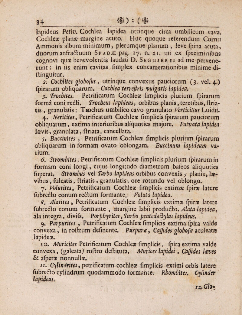 34- 'X ) • (& lapideus Petiv. Cochlea lapidea utrinque circa umbilicum cava. Cochlea? plana? margine acuto. Huc quoque referendum Cornu Ammonis album minimum, plerumque planum , ieve fpma acuta, duorum anfra^fuum Spad^: pag. 17. n. zi. uti ex fpeciminibus cognovi qua: benevolentia laudati D, Seguier.ii ad me pervene¬ runt: in iis enim cavitas,fimplex concamerationibus minime di» ifinguitur, 2. Cocblites globo fus, utrinque convexus pauciorum (3. vel. 4.) fpirarum obliquarum. Cochlea terreftris vulgaris lapidea. 3. Trocbites. Petrificatum Cochleae fimplicis plurium fpirarum forma coni re<Si. Trocbeus lapideus, orbibus planis,teretibus,fida¬ tis , granuiatis; Tsochus umbilico cavo granulato Verticillus Luidii. 4. Neritites, Petrificatum Cochleae fimplicis fpirarum pauciorum obliquarum, extima interioribus aliquoties majore. Valvata lapidea laevis, granulata, {friata, cancellata. 5*. Buccinites , Petrificatum Cochleae fimplicis plurium fpirarum obliquarum in formam ovato oblongam. Buccinum lapideum va¬ rium. 6. Stwmbites, Petrificatum Cochleae fimplicis plurium fpirarumin formam coni longi, cujus longitudo diametrum bafeos aliquoties fuperat. Strombus vei Turbo lapideus orbibus convexis , planis, lae¬ vibus, falcatis, (friatis, granuiatis * ore rotundo vel oblongo. fubredo conum re£fum formante* Voluta lapidea. 8. Alatites, Petrificatum Cochleae fimplicis extimae fpirae latere fubredfo conum formante , margine labii produdfo. Alata lapidea, ala integra, divifa. Porpbyrites, Turbo pentedaBylus lapideus. 9. Purpurites , Petrificatum Cochleae fimplicis extima fpira valde convexa, in rolfrum definente. Purpura, Cajfidex globofe aculeatae lapideae. 10. Muricites Petrificatum Cochleae fimplicis, fpira extima valde convexa, (galeata,) roffro deftituta. Murices lapidei, Ca[fides Uves & afperae nonnullae. ir. Cylindrites, petrificatum cochleae fimplicis extimi orbis latere fubredo cylindrum quodammodo formante» Rhombites. Cylinder lapideus. iz* Glo* «