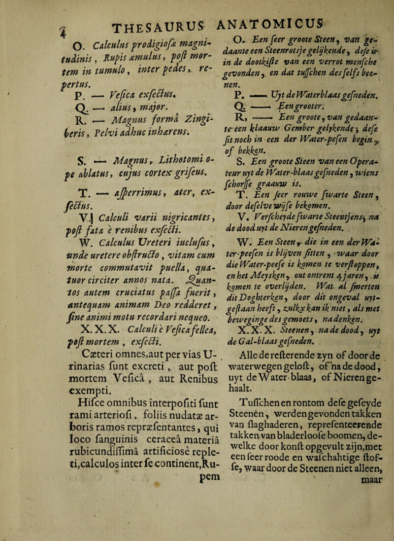 THESAURUS ANATOMICUS O. Cdcultts prodigiofa magni¬ tudinis , Rupis tumulus, pojl mon¬ tem in tumulo, inten pedes >, re¬ pertus. p — Vefica exfectus. a- alius 9 major. R. -— Magnus forma Zingi¬ beris , Pelvi adhuc inh arens. S. —* Magnus r Lithotomi o- pe ablatus y cujus cortex grifeus. T. — ajperrimus, ater, ex- fetfus. v.| Calculi varii nigricantes, pof fata e renibus exfetti. W. Calculus Ureteri iuclufus, unde uretere obflruclo, vitam cum morte commutavit puella, qua- circiter annos nata„ £fuan- tos autem cruciatus pajfa fuerit, antequam animam Beo redderet, fine animi motu recordari nequeo. X. X. X. Calculi e Vefica fellea, pofl mortem , exfeSli. Caeteri omnes?aut pervias li¬ marias funt excreti, aut poft mortem Vefica * aut Renibus exempti. Hifce omnibus interpofiti funt rami arteriofi, foliis nudatas ar¬ boris ramos reprasfentantes, qui loco fanguinis ceracea materia rubicundilTima artificiose reple¬ ti,calculos inter fe continent,Ru¬ pem O. Een feer groote Steen, van daante e en Steenrotsje gelijkende, deje it* in de dootkifte van een verrot menfche gevonden y en dat tujfcben desfelfs bee* nen. P# —* Uyt de Waterblaas gefneden. Q. .— Eengrooter. R. —— Een groote rvan gedaan- te een klaauw Gember gelykende^ defe fit noch in een der Water-pefen begin * of bekken. S. Een groote Steen van een Opera- leur uyt de Water-blaasgefneden 9 wiens fchorffe graauw is. T. Een feer rouwe fiwarte Steen 9 door defelve wijfc bekomen. V. Verfcheydefivarte Steentjens, na de dood uyt de Nier engefneden. W. Een Steen r die in een derJVa- ter-peefen is blijven fitten , waar door dieWater-peefe is kowen te verfioppen, en het Meysken y out ontrent 4 jaren,. is komen te overlijden. tVat al fmerten dit Doghterken, door dit ongeval uyt- gejlaan heeft y zulkx kan ik ni et, ais met beweginge des gemo et s > na denken. X. X. X. Steenen, na de dood, uyt de G al-blaas gefneden. Alie derefterende zyn of door de waterwegen geloft, of na de dood, uyt deWater-blaas, of Niercnge- haalt. Tuflchenenrontom defe gefeyde Steenen, werden gevonden takken van Haghaderen, reprefenteerende takken van bladerloole boomen, de- welke door konft opgevult zijn,met een feer roode en walchahtige ftof- fe3 waar door de Steenen niet alleen, maar