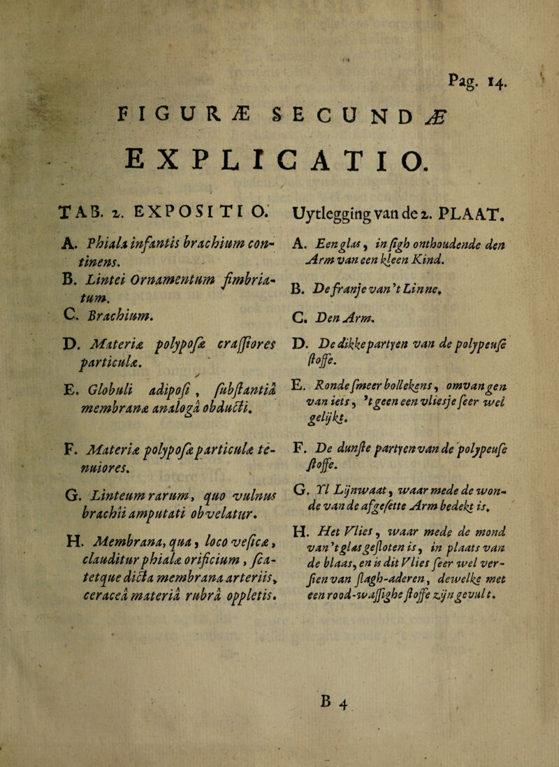 Pag. 14. FIGURA SECUNDAT EXPLICATIO. Uytlegging van de z. PLAAT« TA3. z. EXPOSITI O. A. Phiala infantis brachium con¬ tinens, B. Lintei Ornamentum fimbria¬ tum. C. Brachium. D. Materia polypofa craffor es particula, E. Globuli adipofi, fubflantid membrana analoga obdutti* F. Materia polypofaparticula te¬ nuiores. G. Linteum rarum* quo vulnus brachii amputati obvelatur. H. Membrana, qua * loco ve fica, clauditur phiala orificium, fla¬ tet que diBa membrana arteriis„ ceraced materia rubra oppletis. A. Een glos, in/igh onthoudende den Arm van een k^een Kind. B. De franje van9tLin nev C. DenArm. D. Dedikkepartyen van de polypeufe /?#. E. Rondefmeerbollekens, omvangen van iets 5 9tgeen een vliesje feer wei gelijkt. F. De dunfie partyenvande polypeufe Pjfe. G. F/ Lijnwaat, waar mede de won- de van de afgefette Arm bedekt is> H. /7V* ^7/V/ 9 waar mede de mond van^tglasgejlotenis, plaatsvan de blaas, ite «/*/ wr- ftenvan Jlagh-aderen, deivelke met een rood-wajfighe jiojfe zjjngevalt.