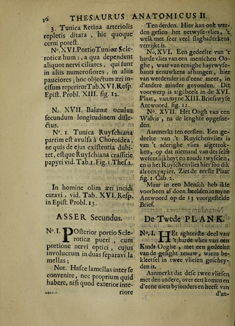 3. Tunica Retina arteriolis repletis ditata * hic quoque cerni poteft. N°. XVI .PortioTunioae Scie- roticashum :, a qua dependent aliquot nervi ciliares , qui iunt in aliis numerofiores , in aliis pauciores • hoc objeftum aeri in- cifum reperirurTab.XVI.Refpo Bpift. Probi. XIII. fig. No. XVII. Balaenae oculus fecundum longitudinem difle- £iu s. N°. i. Tunica Ruyfchiana partimeftavulfaa Choroidea, ne quis de ejus exiftentia dubi¬ tet, eftque Ruyfchiana craffitic papyri vid. Tab.i. Fig. i.Thef.z. In homine olim aeri incidi curavi, vid. Tab. XVI.Refp. in Epift. Probi. 13 . ASSER Secundus. Im°.I. TJOfterior portio Sclc- JL rotic^ pueri , cum portione nervi optici , cujus involucrum in duas feparavi la mellas; Not. Hafce lamellas inter fe convenire» nec proprium quid habere, nifiquod exterior inte- Ten derden. Hier kan ook wer« den gefiea het netwyfe-vlies, ’t welk met feer veel flaghaderkens verrijkt is. No, XVI. Een gedeelte van’t harae vlies van een menfchen Oo- ghe, waar van eenighe hayrwyfe- bants zcnuwkens afhangen , hier van werdender in d*eene meer, in d’andere minder gevonden. Dit voorwerp is afgebeelt in de XVI. Plaat, vanmyneXIII. Briefswyfc Antwoord, fig. 12. N°. XVII. Het Gogh van een Walvis , na de lenghte opgefne- den. Aanmerkt teneerllen. Een ge- deelte van ft Ruyfchenvlies is van ’t aderighe vlies afgetrok- ken, -op dat niemand van des felfs wefeotlijkhey t en zoude twyfekn, en is het Ruy fchenvlies hier foo dik alseenpapier. Zietde cerfte Plaat fig. i.Cab. 2. Maar in een Menfch heb ikfe voorheen af doen.beeldeninmyne Antwoord op de 13 voorgeftclde Brief. T ? ~ r* •• - y c%ni ' ■* * ^ r'f' rs ; i>(.’ . iJ < t De Twede P D AN K. u*' ILa * r - - 0 ■■ u *••••*di 4 ‘ . f * ' * i # !. TTEt aghterftc deel van JUL *t harde vlies van een Kinds Ooghe , met een gedeelte van de gefight zenuvvr wiens be*} kleetfel in twee vliefen gefchey- denis. .. , , ' * Aanmerkt dat defe twee vliefen met den andere, over een komen en dkene niets byfonders en heeft van d’an- nore