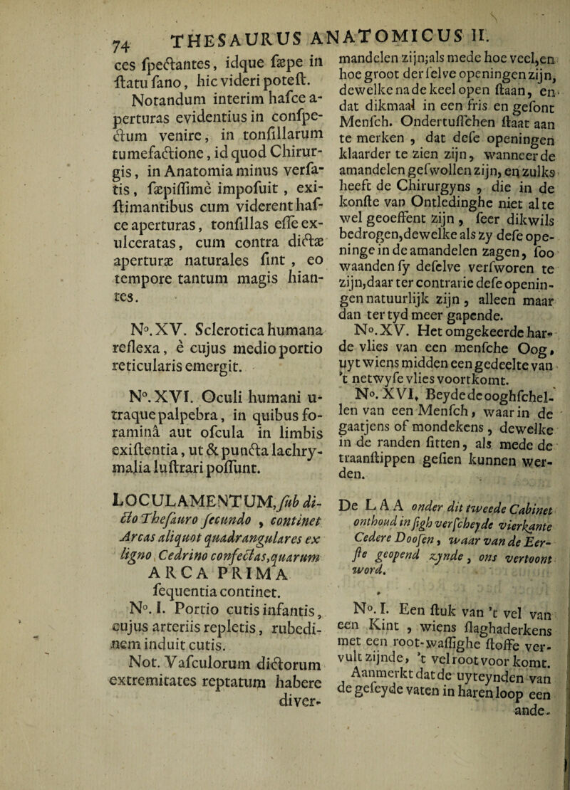 \ 74 THESAURUS ANATOMICUS II. ces fpeftantes, idque fepe in mandclenzijn;alsmedehoevecl5en flatu fano, hic videri poteft. Notandum interim hafce a- perturas evidentius in confpe- dum venire, in tonfillarum tumefaftione, id quod Chirur¬ gis , in Anatomia minus verfa- tis, faspiffime impofuit, exi- flimantibus cum viderent haf¬ ce aperturas, tonfillas efle ex¬ ulceratas, cum contra diftae aperturas naturales fint , eo tempore tantum magis hian¬ tes. N°.XV. Sclerotica humana reflexa, e cujus medio portio reticularis emergit. N°.XYI. Oculi humani u- traquepalpebra, in quibus fo¬ ramina aut ofcula in limbis exiftentia, ut & punfta lachry- malia luftrari poflimt. hoe groot der iel ve openingen zij n, dewclkenadekeelopen ftaan, en- dat dikmaal in een fris en gefont Menfch. OndertufTchen ftaat aan te merken , dat defe openingen klaarder te zien zijn, wanneerde amandelen gefwollen zijn, eq zulks heeft de Chirurgyns , die in de konfte van Ontledinghe niet alte wel geoeffent zijn , feer dikwils bedrogen,dewelkealszy defeope- ninge in de amandelen zagen, loo waanden fy defclve verfworen te zijn,daar ter contrarie defe openin¬ gen natuurlijk zijn, alleen maar dan ter tyd meer gapcnde. No. XV. Hetomgekeerdehar» de vlies van een menfche Oog, uy t wiens midden een gedeelte van ?t netwyfe vlies voortkomt. No. XVI, Beydedcooghfchel- len van een Menfch, waarin de ' gaatjens of mondekens, deweike in de randen fitten, ais mede de traanflippen gefien kunnen wer- den. LOCULAMENTUM, frb di¬ tio The fauro fecundo , continet Arcas aliquot quadrangulares ex ligno Cedrino confeci as ^quarum ARCA PRIMA fequentia continet. De L A A onder dit tweede Cabinet onthoud infigh verf:heyde vierkante Cedere Doofen* waar van de Eer- jle gcopend zjjnde , ons vertoont word. . • N°. 1. Portio cutis infantis, cujus arteriis repletis, rubedi¬ nem induit cutis. Not. Vafculorum dibtorum extremitates reptatum habere diver* N°. I. Een fluk van ’t vel van een Kint , wiens flaghaderkens met een root-waflighe ftoffe ver- vukzijnde, *t velrootvoor komt. Aanmei kt dat de uyteynden van de gefeyde vaten in harenloop een ande«