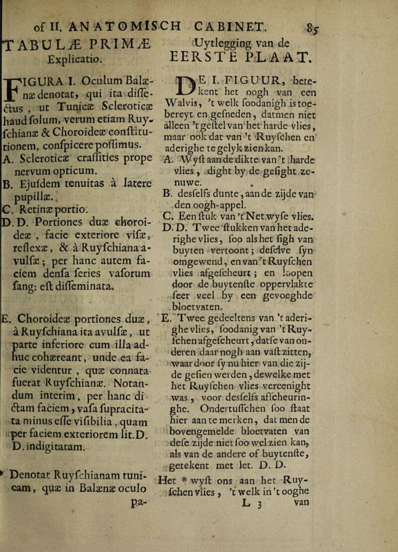 TABULJE PRIMAE Explicatio. FIGURA i. Oculum Balae¬ na denotat, qui ita-difle- ftus , ut Tunicse Scleroticae haudfolum, verum etiam Ruy- fchianae & Choroideae conftitu- tionem, confpicerepoflimus. A. Scleroticae craffities prope nervum opticum. B. Ejuldem tenuitas a latere pupillae. i C. Retinae portio. D.D. Portiones duae choroi¬ deae , facie exteriore vifae5 reflexae, & a Ruyfchianaa- vulfae; per hanc autem fa¬ ciem denfa feries vaforum fang: eft difleminata, E. Choroideae portiones duae, aRuyfchianaitaavulfae, ut I parte inferiore cum illa ad¬ huc cohaereant, unde ea fa¬ cie videntur , quae connata fuerat Ruyfchianae. Notan¬ dum interim , per hanc di dam faciem, vafa fupracita- ta minus efle vifibilia, quam per faciem exteriorem lit. D: D. indigi tatam. * Denotat Ruyfchianam tuni¬ cam, quae in Balaenae oculo pa- Uytlegging van de EERSTE PL A AT. IVE I. FIGUUR, bete- Jr kent het oogh van een Walvis, 't welk foodanigh istoe- bereyt en gefneden, datmen niet alleen 5tgeftelvan het harde vlies, maar ook dat van ’t Ruyfchen en aderighe tegelykzienkan. A. Wyft aan de dikte van ’t harde vlies , digh-t.by de gefight ze- nuwe. B. desfelfs dunte,aande zijdevan ' den Gogh-appel. C. Een ftuk van ’t Net wyfe vlies. D.D. Twee ftukken van het ade¬ righe vlies, foo alshet figh van buyten vertoont; defdve fyn otngewend., en van ’t Ruyfchen vlies afgefcheurt; en loopen door de buytenftc oppervlakte feer veel by een gevoeghde bioetvaten. E. Twee gedeeltens van *t aderi¬ ghe vlies, foodanigvan ’tRuy¬ fchen afgefcheurt 5 datfe van on- deren daar nogh aan vaft zittens waar door fy nu hier van die zij- de gefien werden, dewelke met het Ruyfchen vlies vereenight was ? voor desfelfs affcheurin- ghe. Ondertuflchen foo ftaat hier aantemerken, datmen de bovengemelde bioetvaten van defc zijde niet foo wel zien kan? ais van de andere of buytenfte, getekent met let. D. D. Het * wyft ons aan het Ruy¬ fchen vlies , ’t welk in ’t ooghe L 3 van