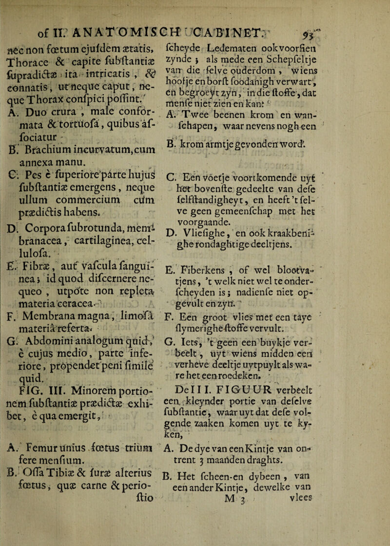 Mc non foetum ejufdem aetatis, Thorace & capite fubftantiae filpradift®-ita intricatis , & connatis, ut neque caput, ne¬ que Thorax confpici poffint.' A. Duo crura , male confor¬ mata &tortuofa, quibus af- fociatur: v B. Brachium incurvatum,cum annexa manu. y , C. Pes e fuperioteparte huju$ fubftantiae emergens, neque ullum commercium ctfm praediftis habens, JX. Corpora fubrotunda, menti branaceacartilaginea, cel- lulofa. '• £. Fibrae, aut' vafcula fangui- nea; id quod difcernere ne¬ queo , utpote non repleta materia ceracea-\ F, Membrana magna , limofa materia referta* Gl AbdominianalogumquidV e cujus medio, parte infe¬ riore , propendet peni limile quid. FlG. III. Minorem portio¬ nem fubftantiae praediatae exhi¬ bet, equa emergit, > A. Femur Unius .foetus trium fere menfium. BJ Ofta Tibiae & furse alterius foetus , quae carne & perio- ftio fcheyde Ledematen ookvoorEen zynde $ ais mede een Schepfeltje varr die delve oiiderdom , wiens hoof je en borft foodahigh verwarti en begroeyt zyn, in die ftoffe 5dat menfeniet zienenkantf A. Twee beenen krom en wan- fchapen, waarnevensnogheen B. krom armtje gevonden word. ■ /■ ■ C. Een voetje voortkomende uyt het bovenfte gedeelte van defe felfftandigheyt, en heeft’tfel- ve geen gemeenfchap met het voorgaande. D- Vliefighe, en ook kraakbeni- gherondaghtigedeeltjens. E. Fiberkens , of wel blootVa- tjens, *t welk niet wel te onder- fcheyden is; nadienfe niet op- gevult en zytf. F. Een groot vlies met een taye ' flymerigheftoffe ver vult. G. Iets, ?t geen een bnykje ver- beelt, uyt wiens midden een verheVe deelt je uytpuylt ais wa« re het eenroedeken» De III. FIGUUR verbeelt een, kleynder portie van defclv® fubftantie, waaruyt dat defe vol- gende zaaken komen uyt te ky- keh, ’ A. Dedye van eenKintje van on* trent 3 maatiden draghts. B. Het fcbeen-en dybeen , van eenanderKintje, dewelke van M 3 vlees