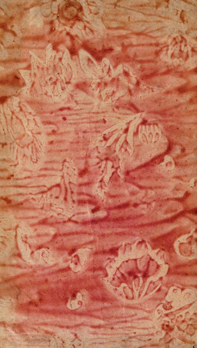 digitised image 2